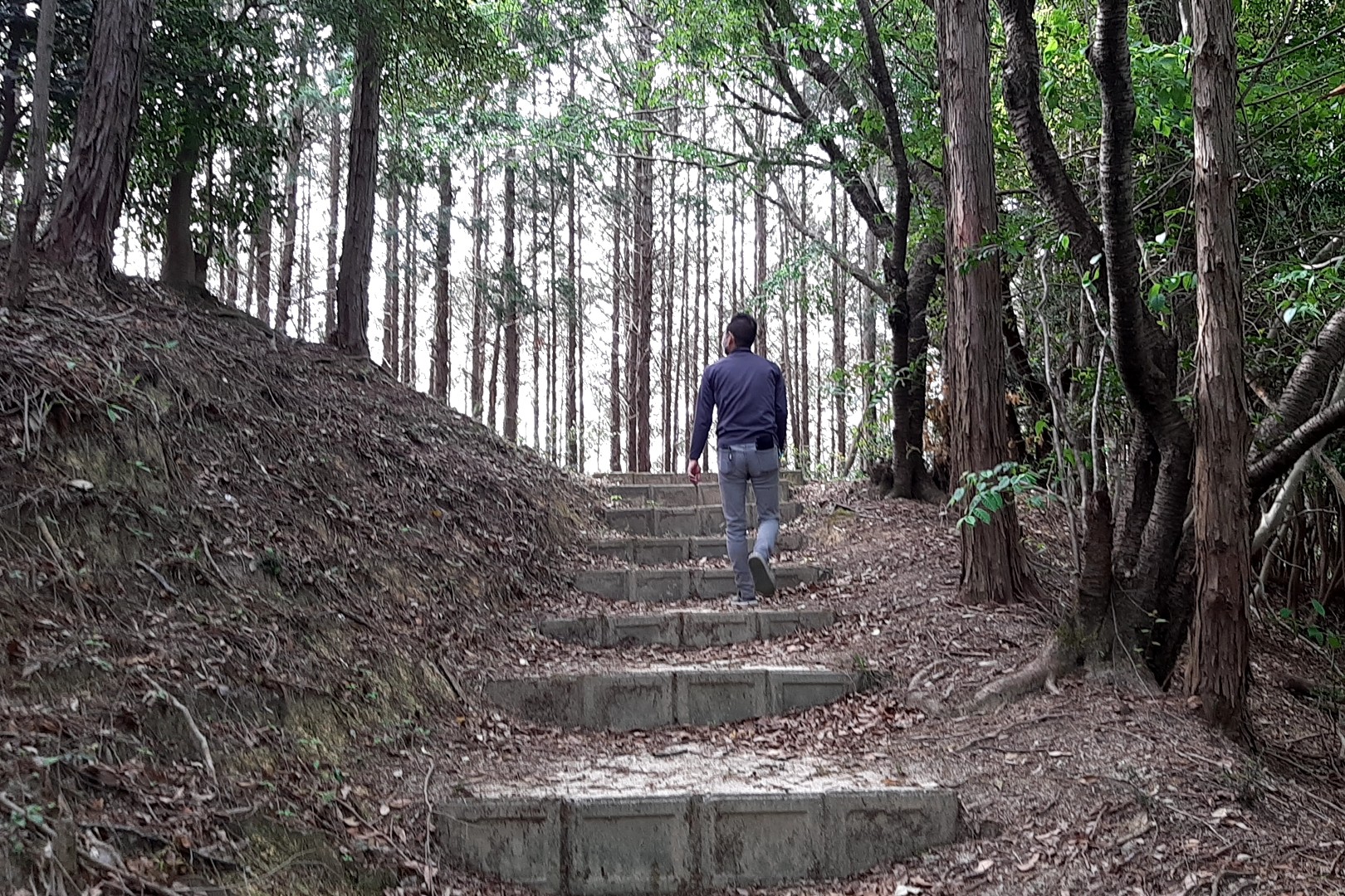 鹿毛馬神籠石 / まるちさんの飯塚市の活動日記 YAMAP / ヤマップ