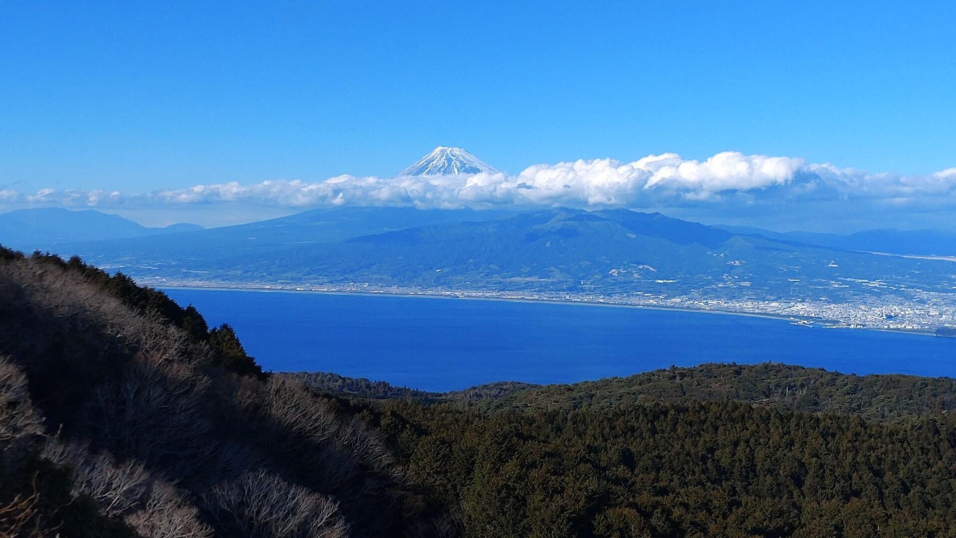 達磨山・金冠山