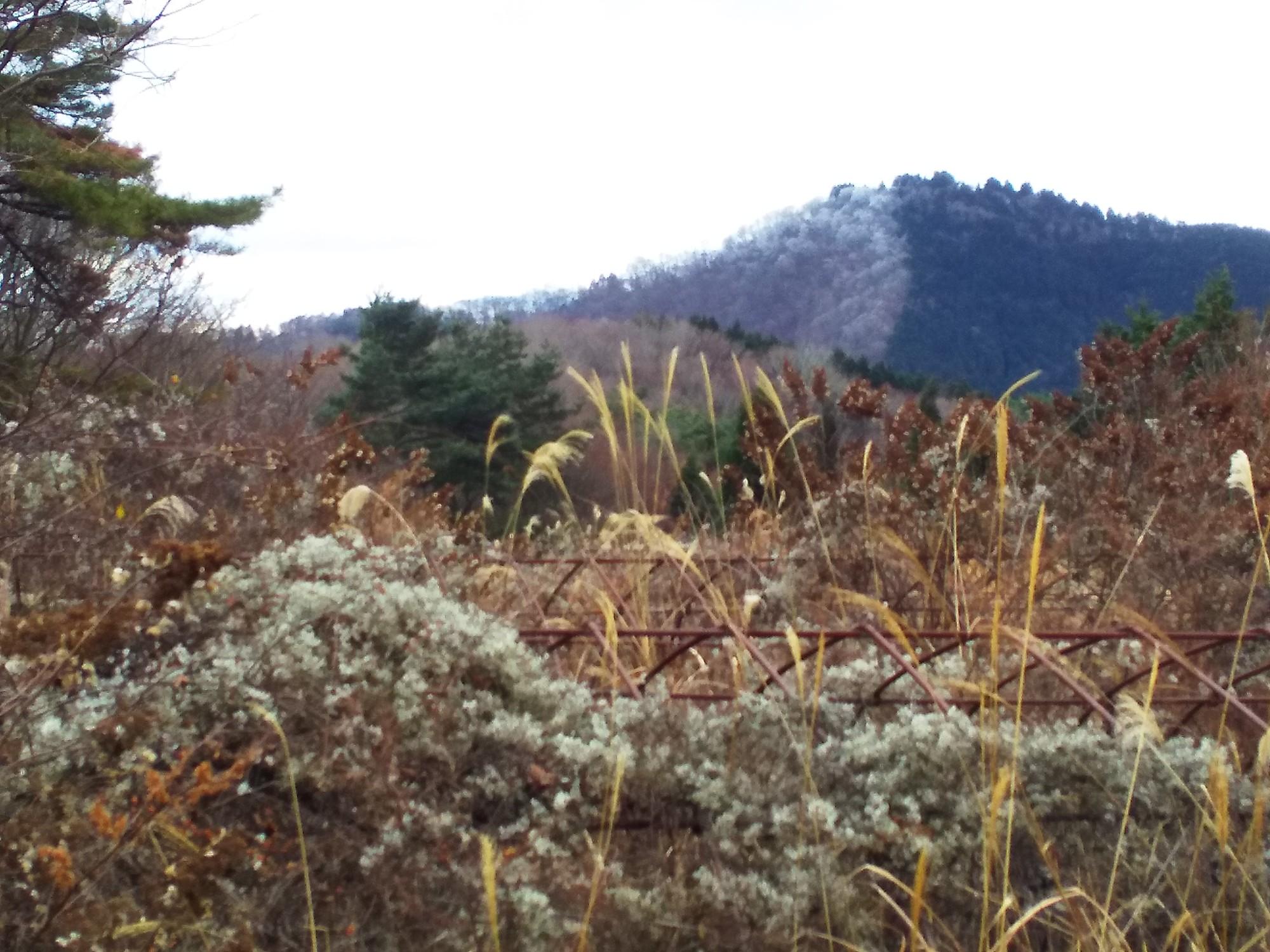大川山 / マネジャさんの竜王山（讃岐山脈）・大川山の活動データ YAMAP / ヤマップ