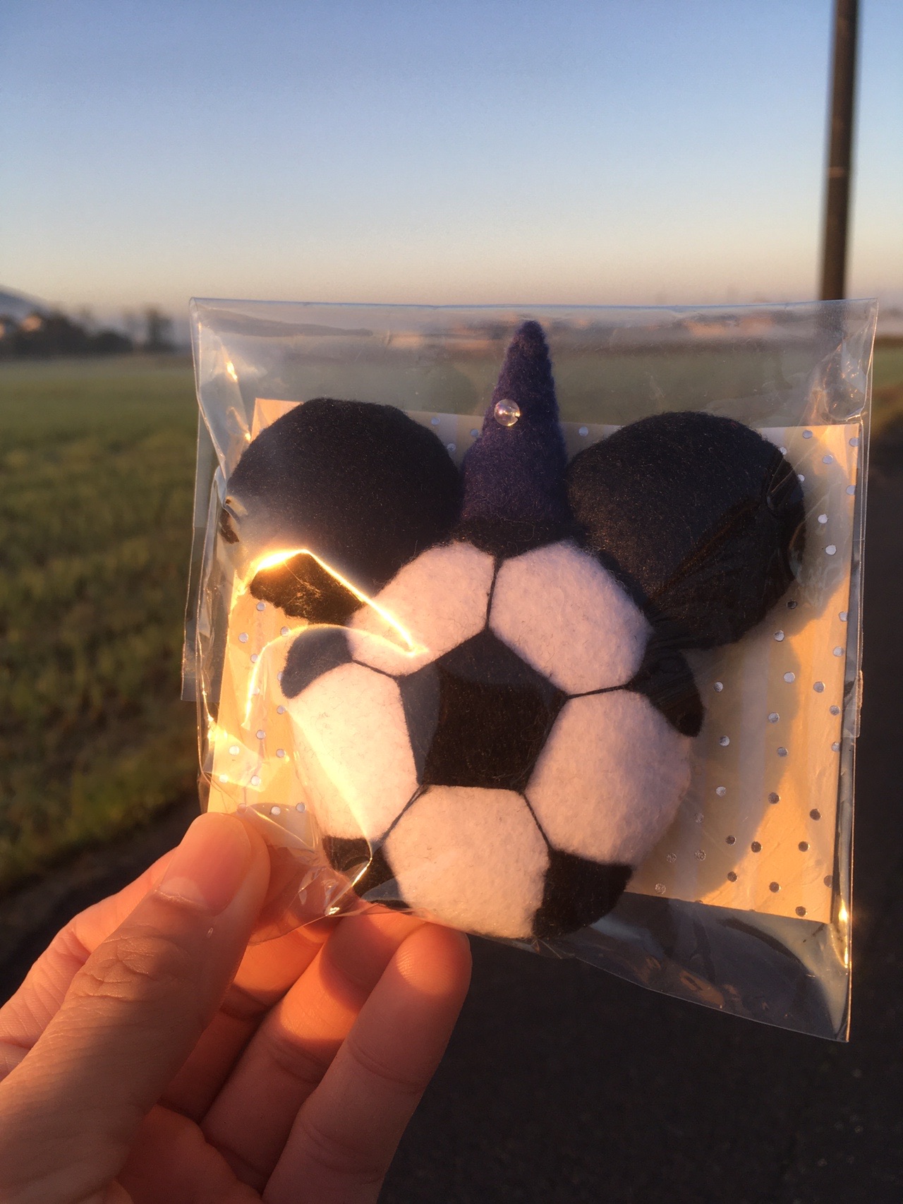 朝日山 東の峰 西の峰 松江市 19 10 27 オニフさんの松江市の活動日記 Yamap ヤマップ