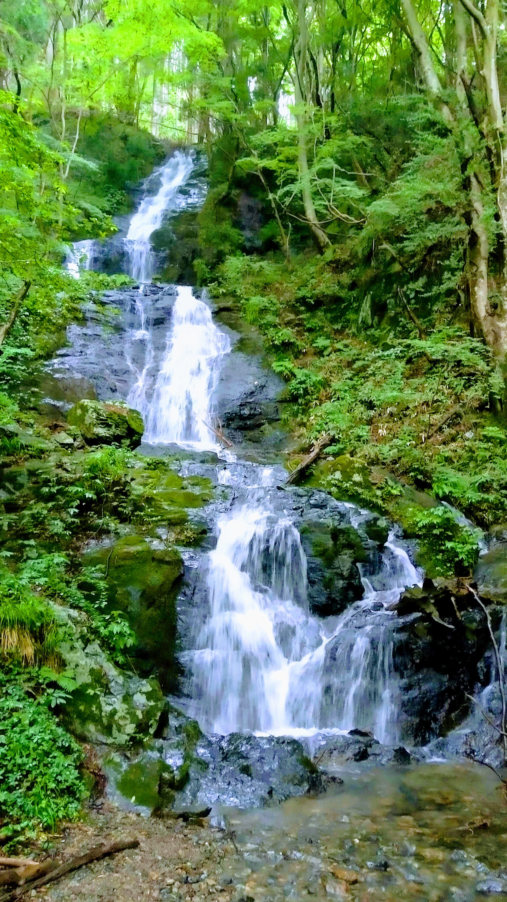 岡山県 滝巡り さとぽんさんのウォーキングの活動データ Yamap ヤマップ