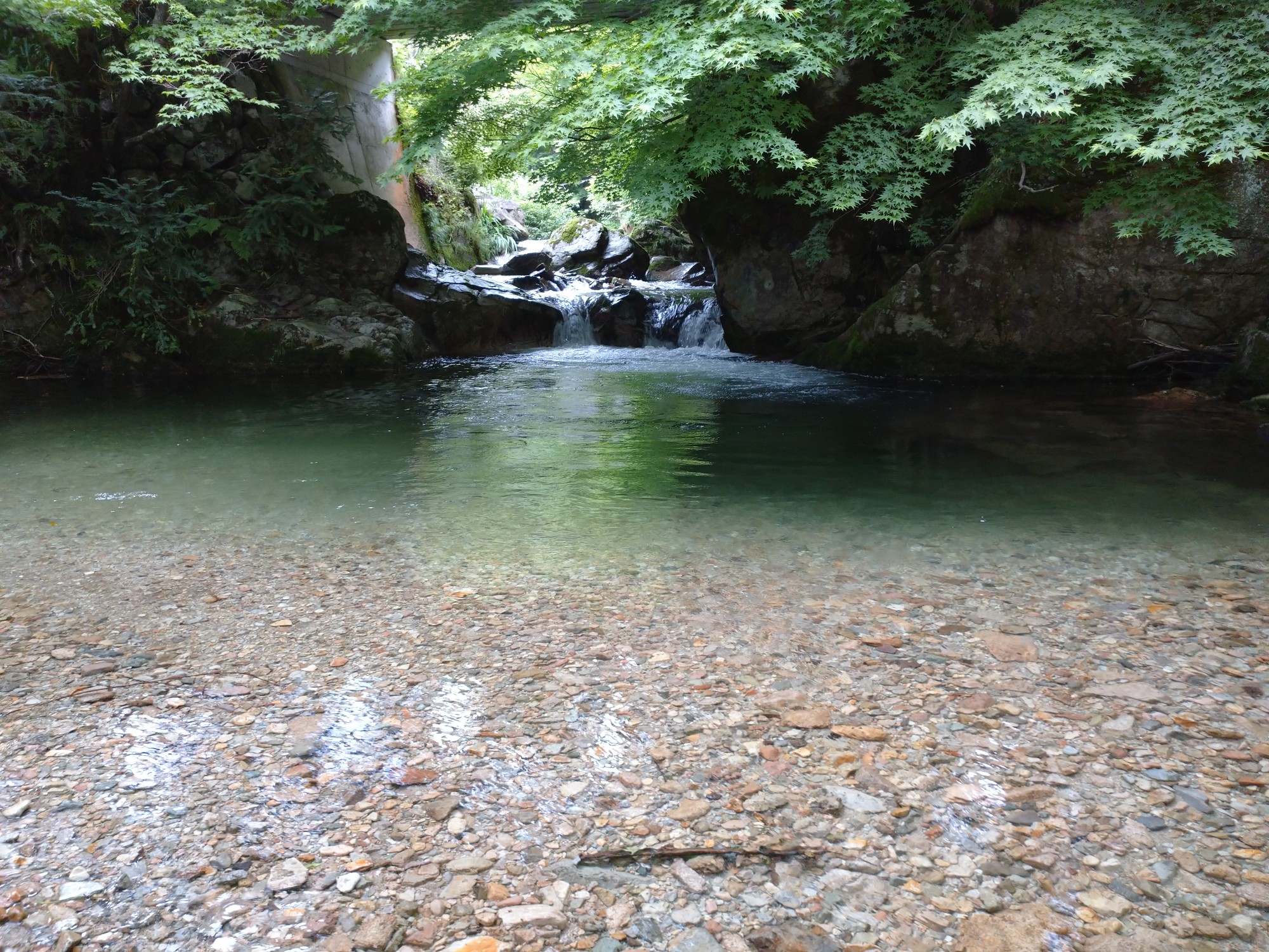 阿井川周辺 渓流釣りへ行ってみた シロクマさんの猿政山の活動日記 Yamap ヤマップ