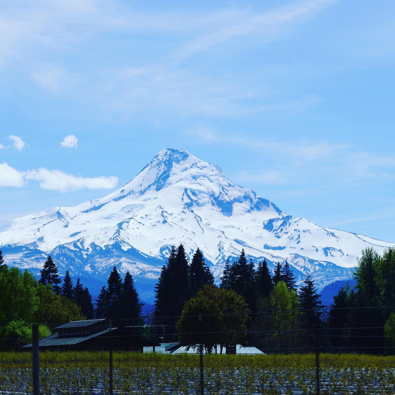 オレゴン州最高峰 マウントフッド山とトリリアム レイクから逆さオレゴン富士を狙いに ばんさんのマウントフッド国立森林公園の活動データ Yamap ヤマップ