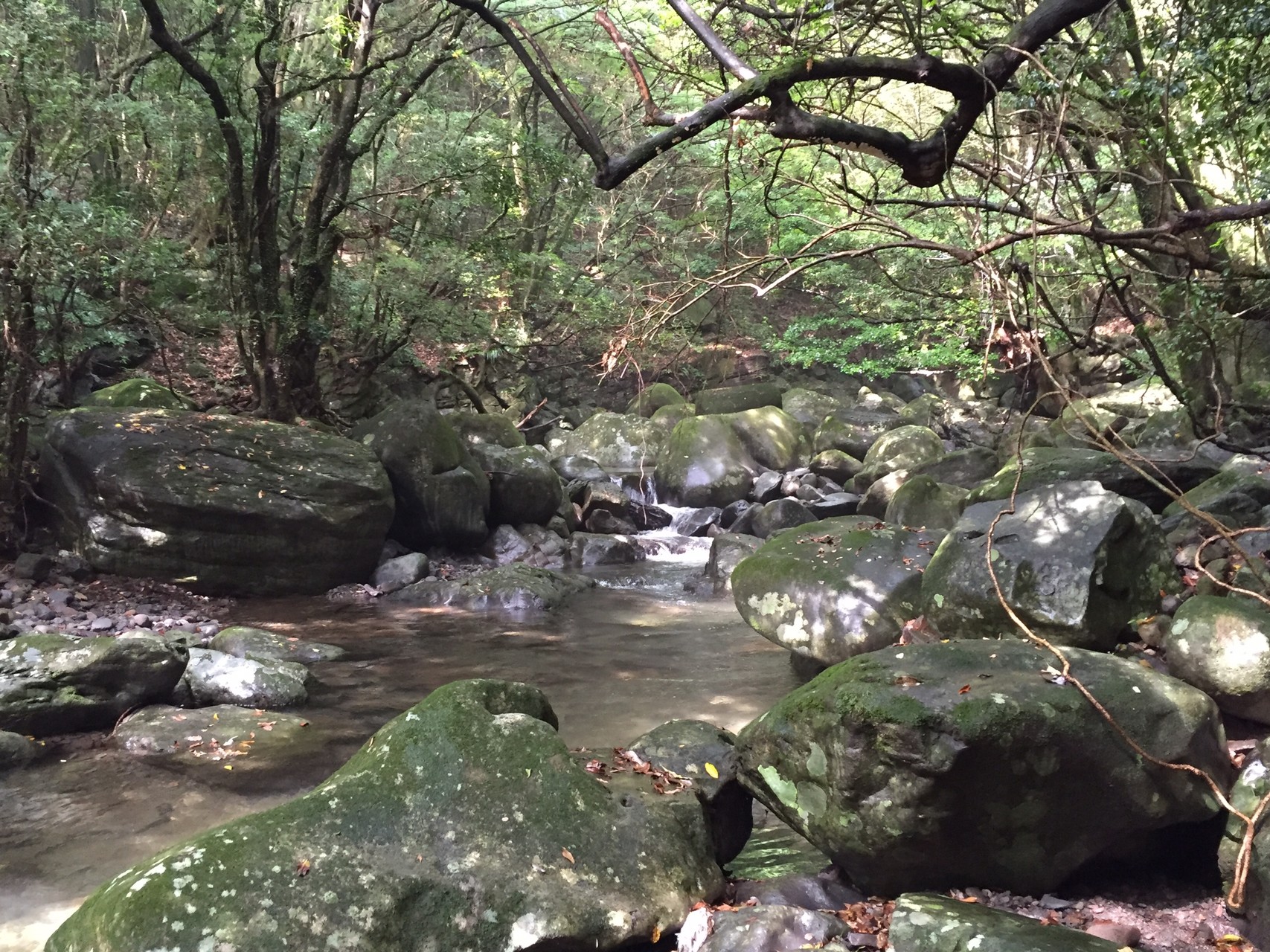 轟の滝 銀鈴渓 金泉寺 チェリーさんの多良岳 経ヶ岳 五家原岳の活動データ Yamap ヤマップ
