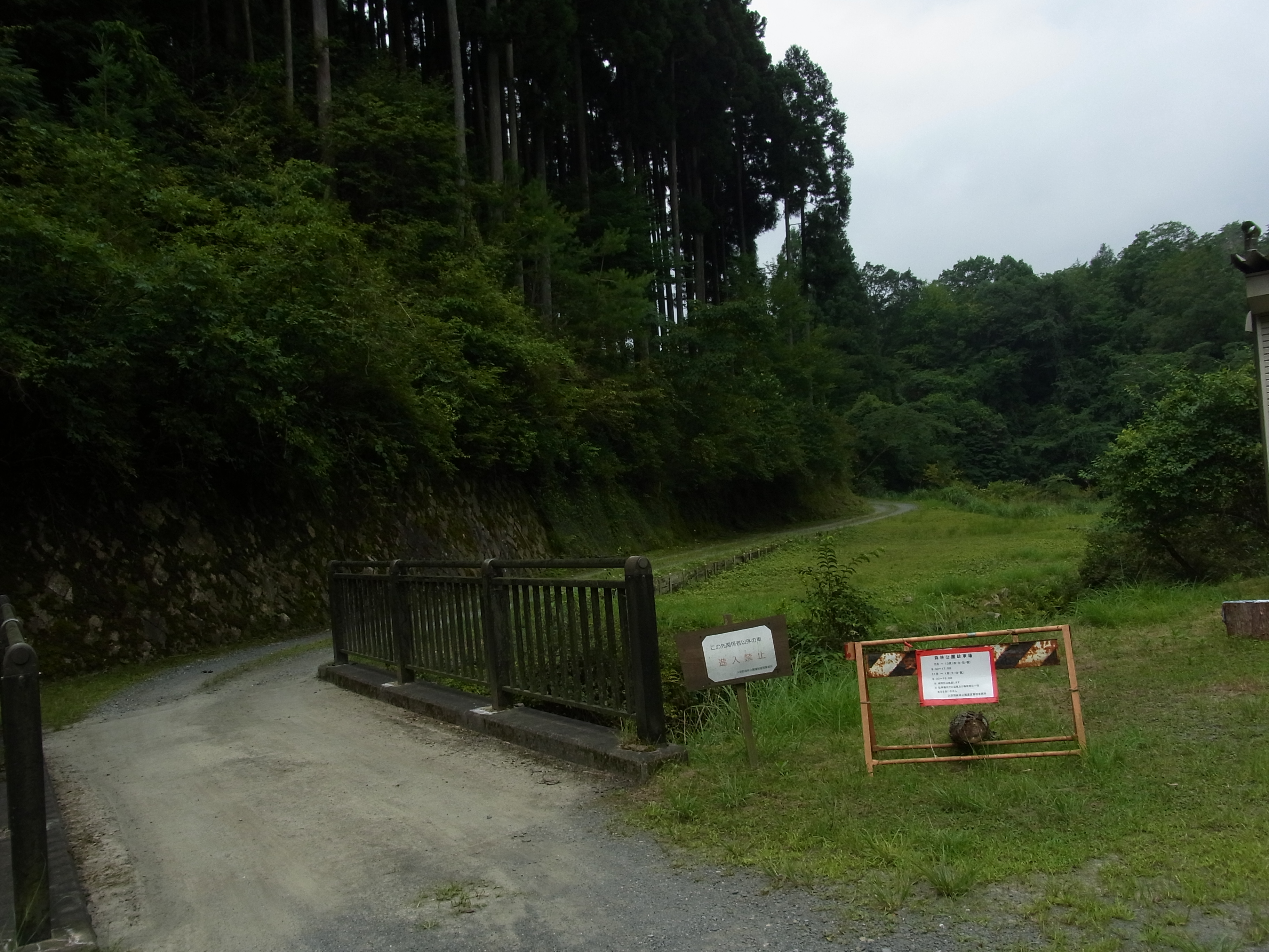 ポンポン山でオオキツネノカミソリの群落に 出会った キミラーさんのポンポン山 釈迦岳 小塩山 若山の活動日記 Yamap ヤマップ