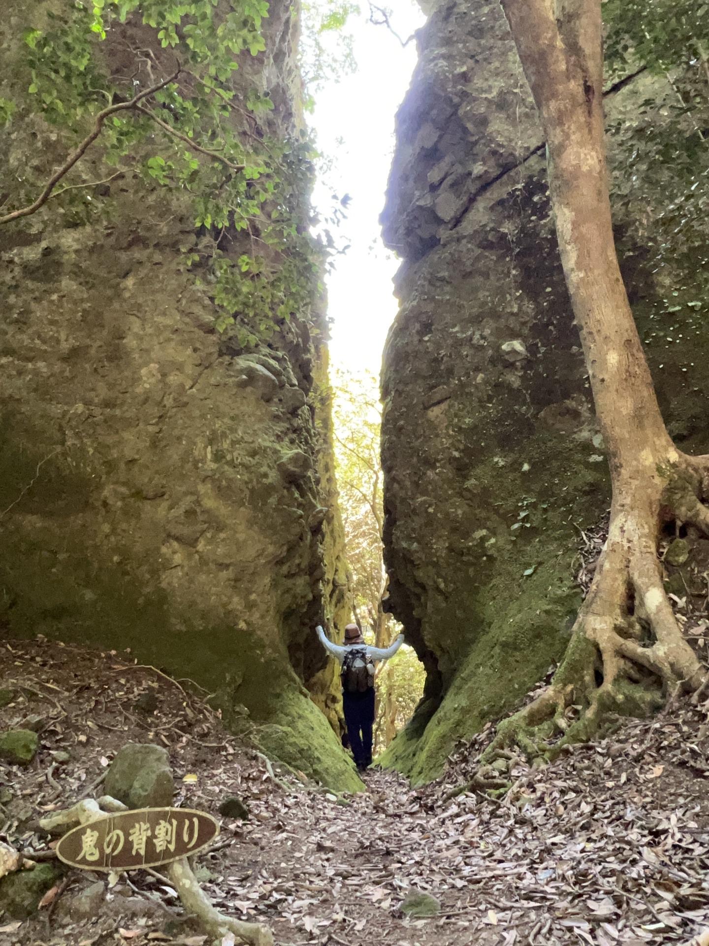 両子山・トンガリ山 / Rieさんの六郷満山（国東半島）の活動データ YAMAP / ヤマップ