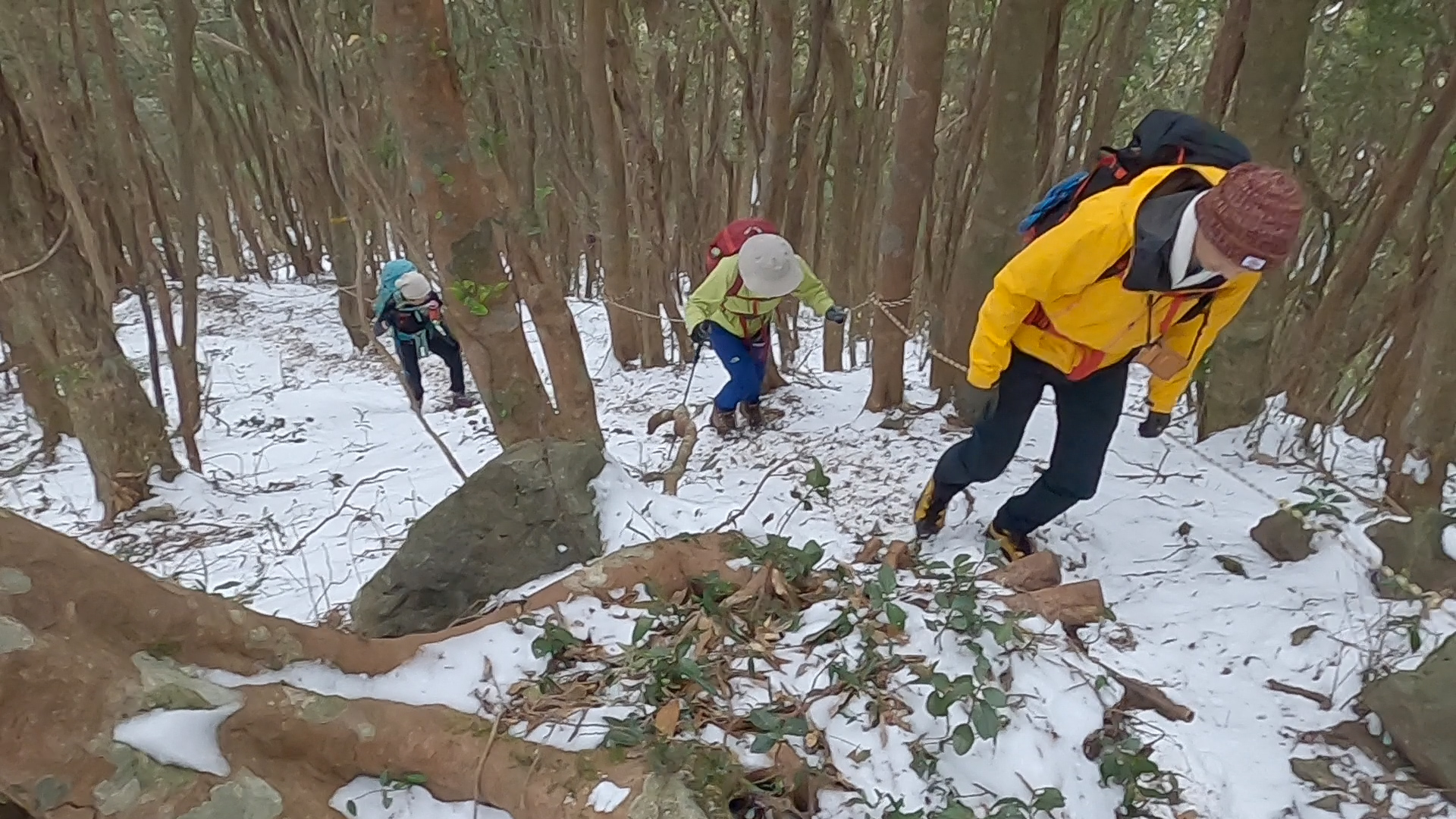 西南戦争激戦地 矢筈岳 登りも激戦地 Sudu Summitsさんの矢筈岳の活動日記 Yamap ヤマップ