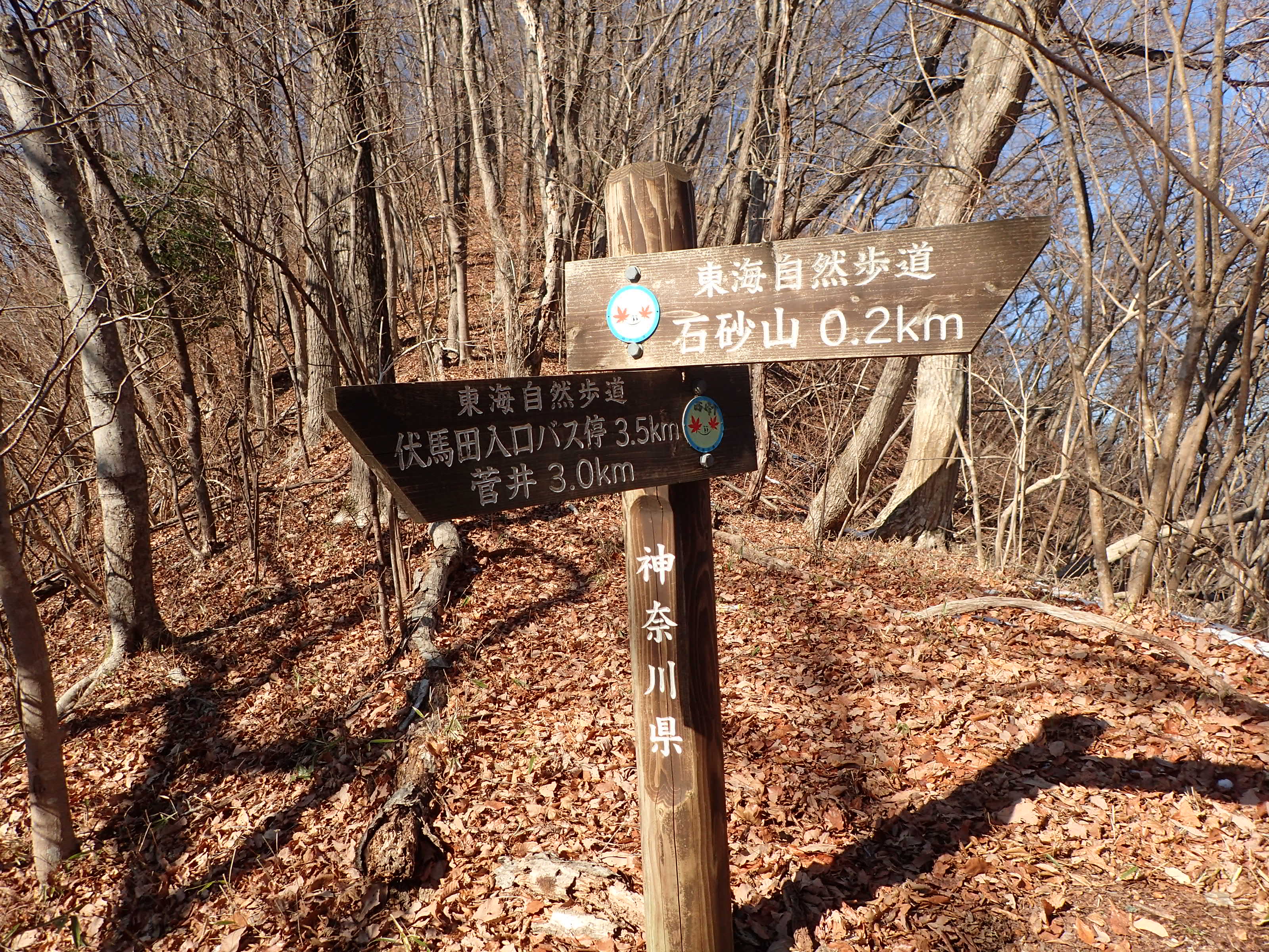 峰山 尾崎原山 石砂山 やまなみ温泉から周回 ジーコさんの石老山 石砂山の活動日記 Yamap ヤマップ