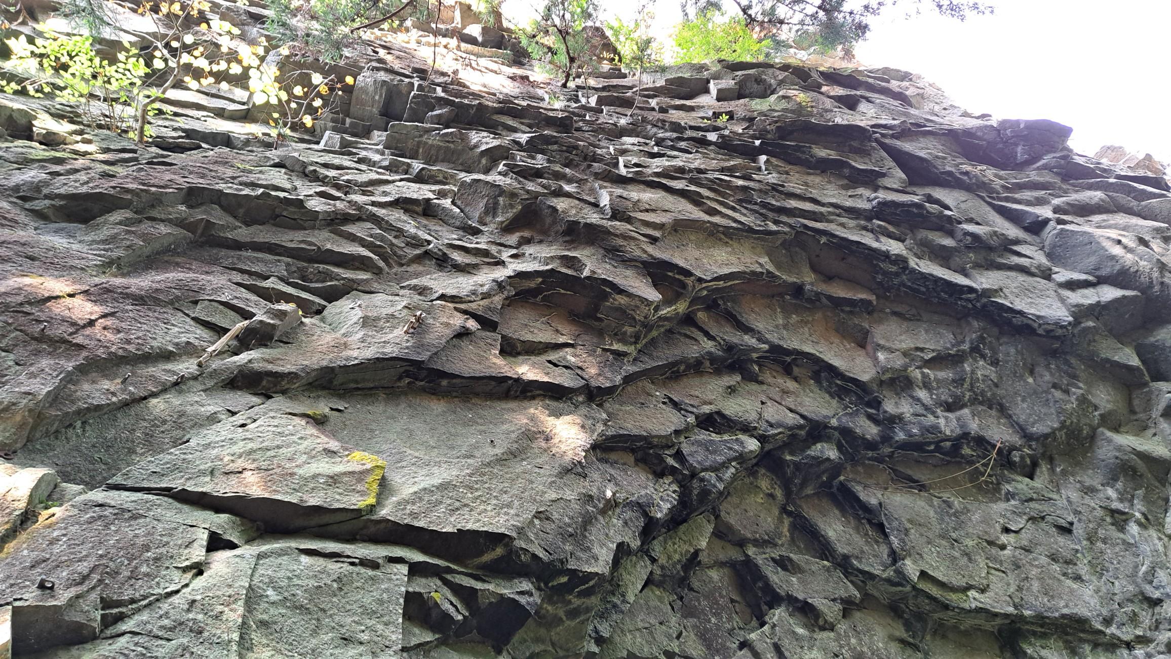 魚の鱗見たい💦