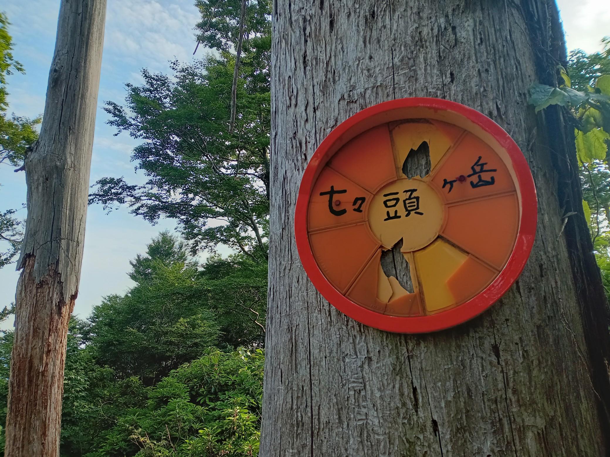 近江百山 近江百山-ヤマレコ