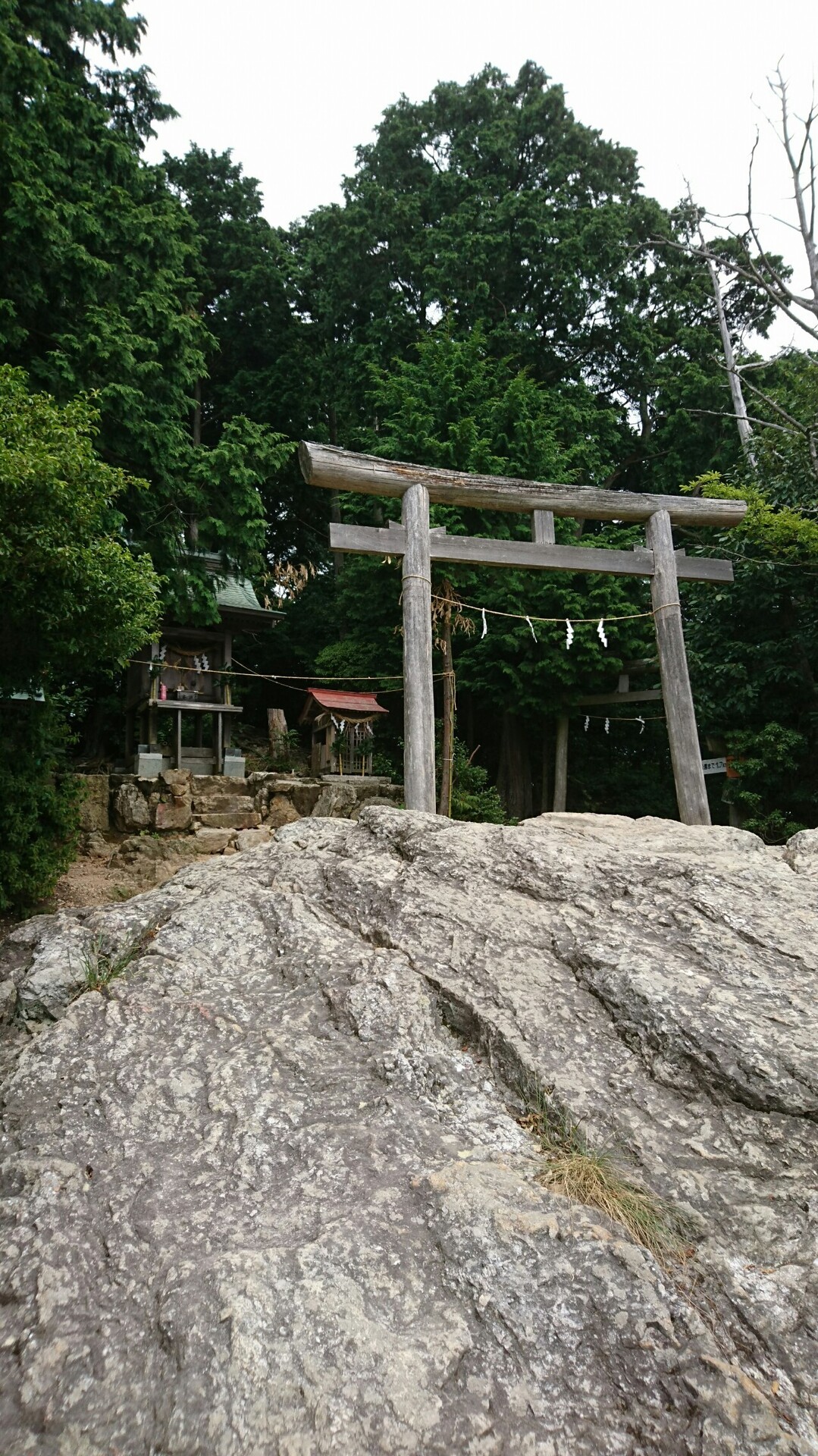 [三上山]犬連れ登山[滋賀県] / 三上山・鏡山の写真20枚目 / 頂上の御上神社奥宮 YAMAP / ヤマップ