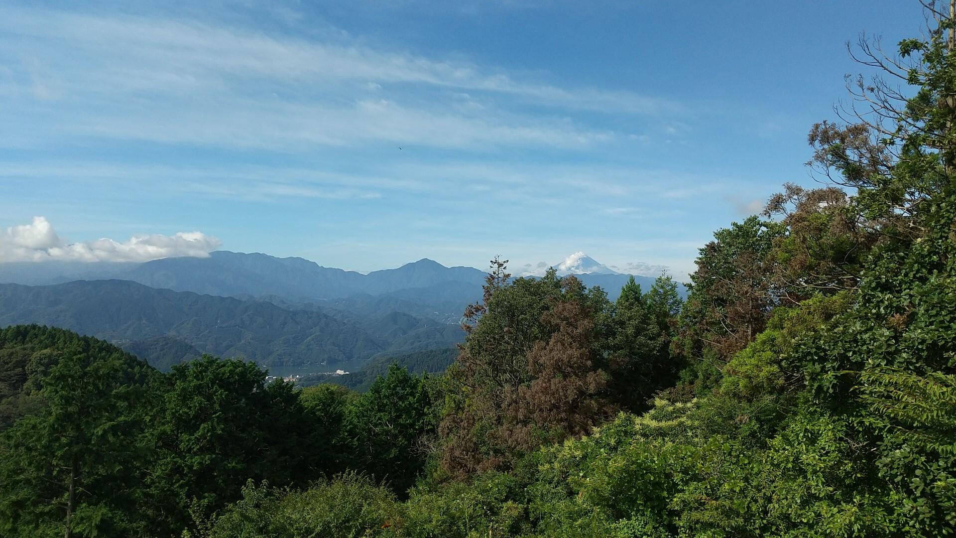 初めての景信山&早朝からの登山！ (ドキ... / ごっさむさんのモーメント YAMAP / ヤマップ