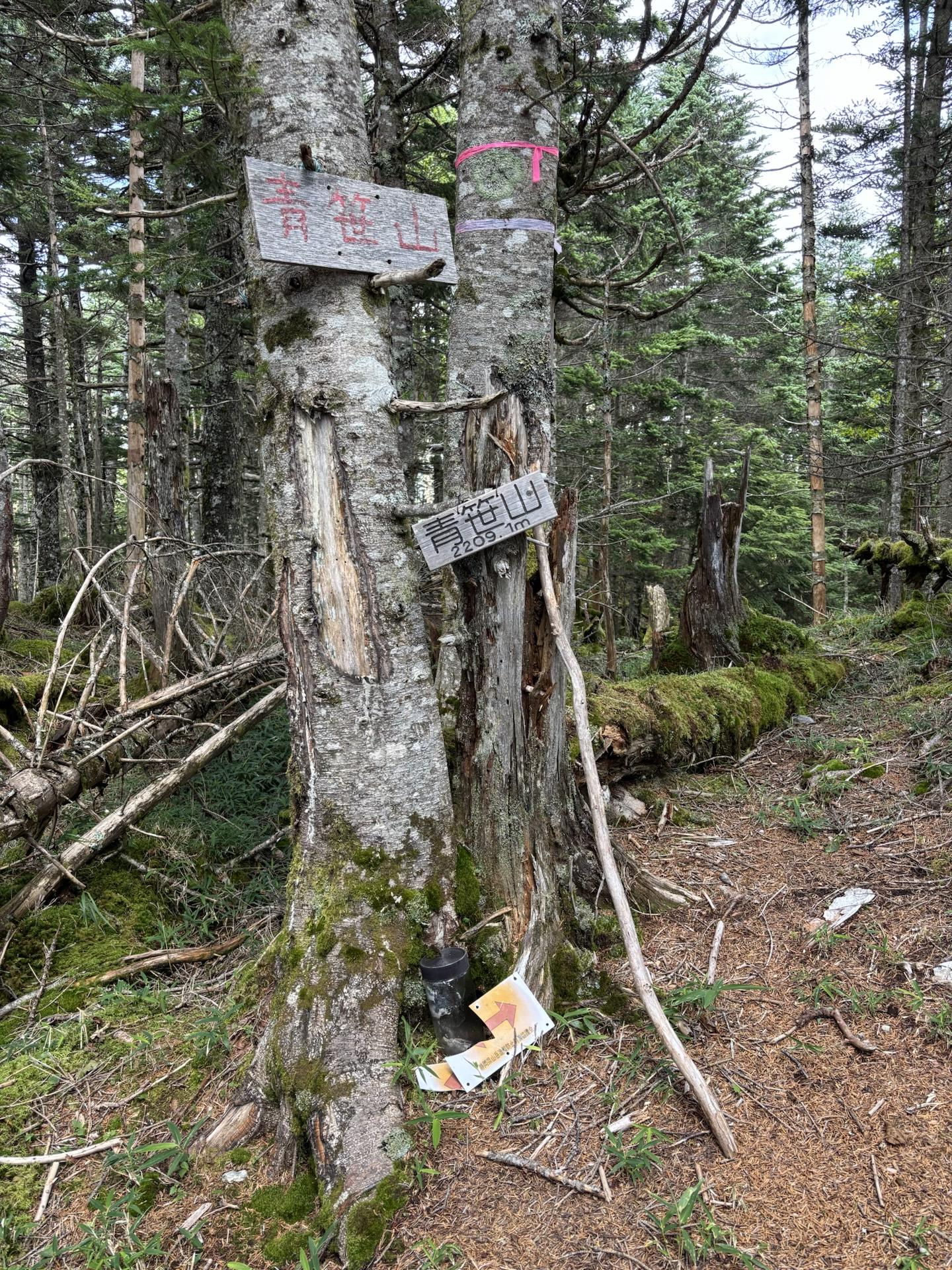 水無峠山・三ノ沢山・青枯山・青笹山 / madyさんの青薙山・稲又山・青笹山の活動データ | YAMAP / ヤマップ
