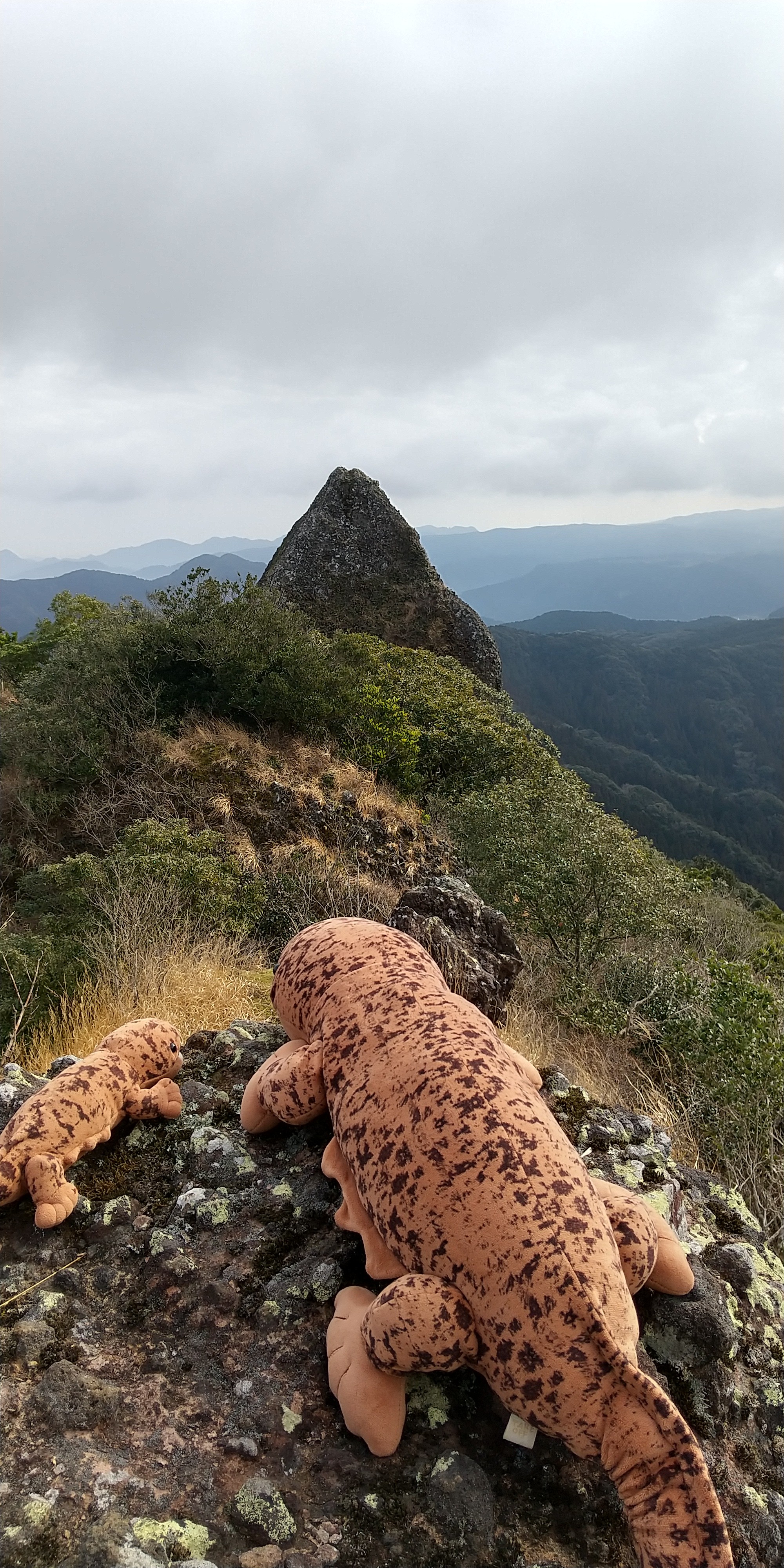 高見岳 女岳 虚空蔵山 虚空蔵岳 テテとトトの 霊験あらたか ヨチヨチ登山 テテとトトさんの虚空蔵山の活動データ Yamap ヤマップ