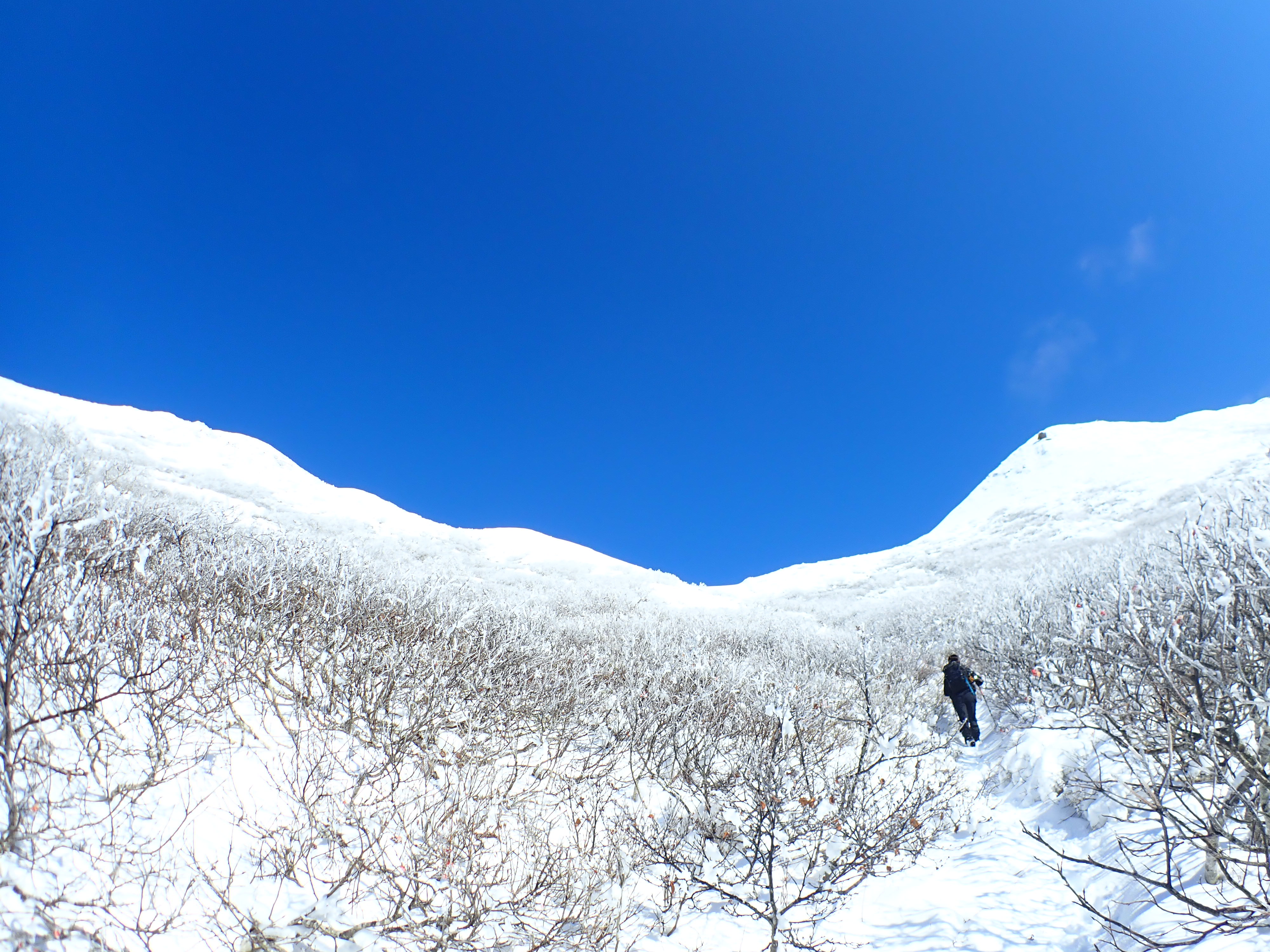 斜里岳 旧道〜新道周回コースの地図・登山ルート・登山口情報  YAMAP 