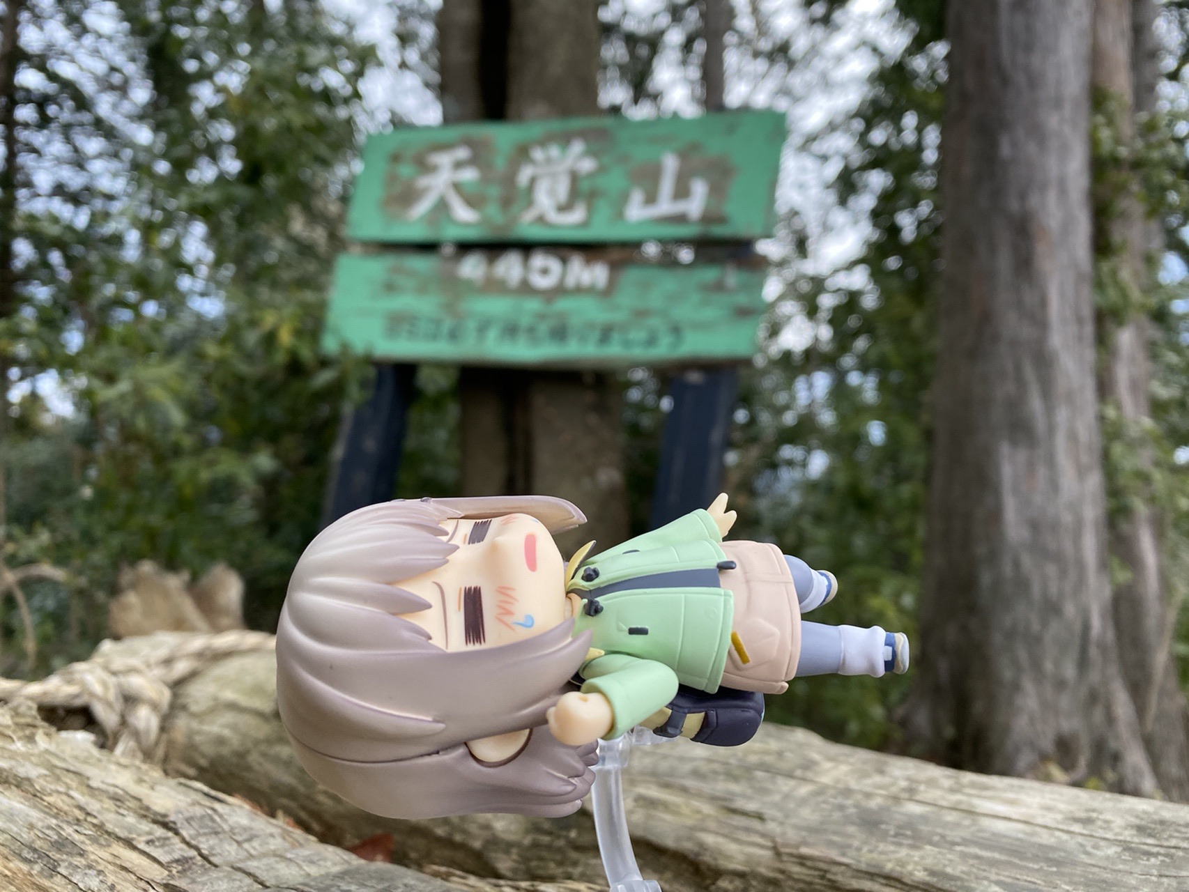 天覚山 大高山 子の権現 ヤマノススメ 聖地巡礼コースで歩く飯能アルプス ヤマノススメ巡礼マップ G2gさんのヤマノススメ巡礼マップ 天覚山 大高山 子の権現 の活動日記 Yamap ヤマップ