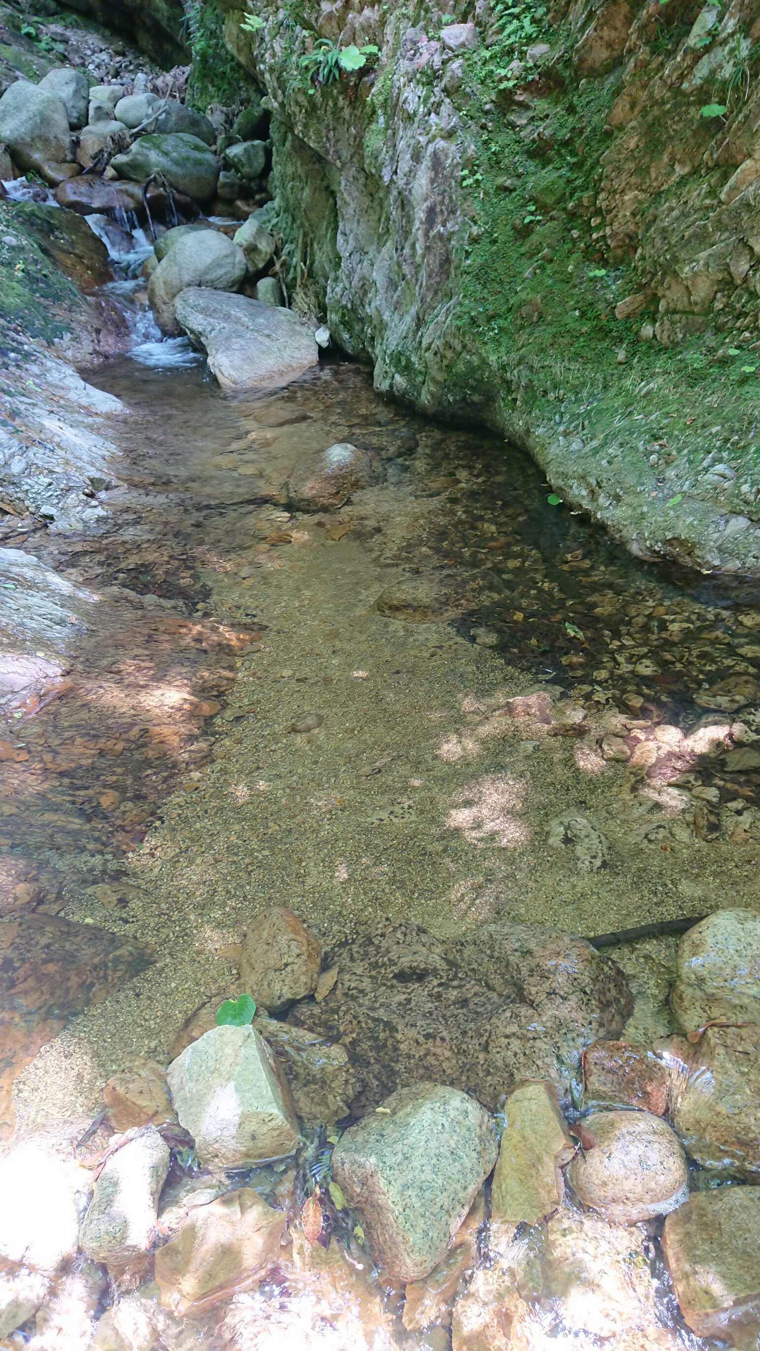 日本平山・鍋倉山 山の神手前