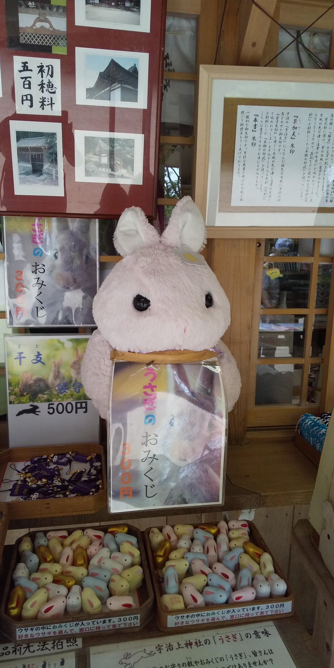おかおちゃん初めて 宇治の山へ行く 大吉山 朝日山 おかおさんの大吉山 仏徳山 喜撰山の活動日記 Yamap ヤマップ
