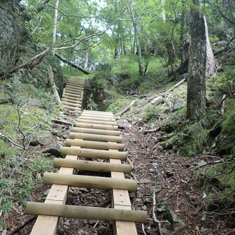 八経ヶ岳 急登んぼ坂道