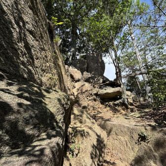 宮島を気に入り、他県から宮島口に引っ越して、毎週弥山〜駒ヶ林を歩くというお兄さんと談笑。いいなーそういう生活。
ちなみに私が行くこれから先のルートは行ったことがないそうで。お兄さんがココじゃないですか？と言った、その指の先には崖。ココを上がるの？ロープ欲しい。お兄さんは大元コースを下るのでお別れ。
ココから先は誰にも会わず。