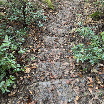 紀泉アルプス・飯盛山・ボンデン山 ええ感じの段差が続きます🤭

滑らなくていいし、これくらいのがあるのはいい感じ👍