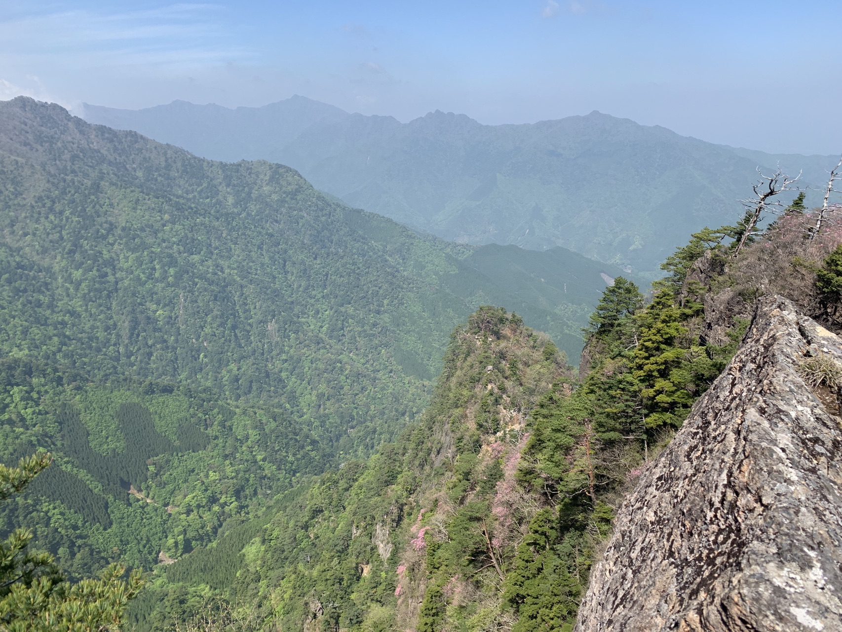 アケボノツツジ満開の傾山三ツ坊主 九折登山口 三ツ尾 坊主尾根 傾山 九折越え周回 Yoshirinkさんの傾山の活動日記 Yamap ヤマップ