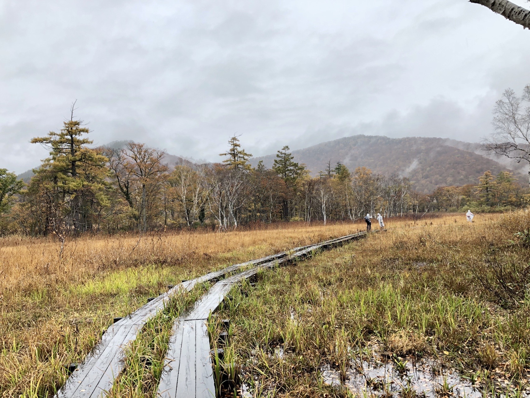 尾瀬 ぞ さんの至仏山 悪沢岳 笠ヶ岳の活動日記 Yamap ヤマップ