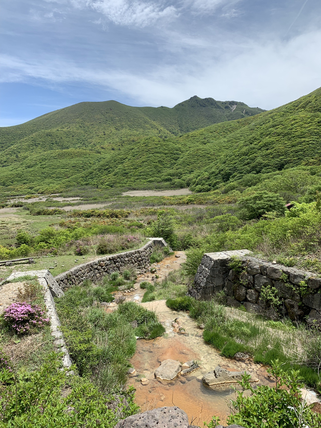 長者原 坊がつる すがもり 周回 おさかな さえさんの九重山 久住山 大船山 星生山の活動データ Yamap ヤマップ