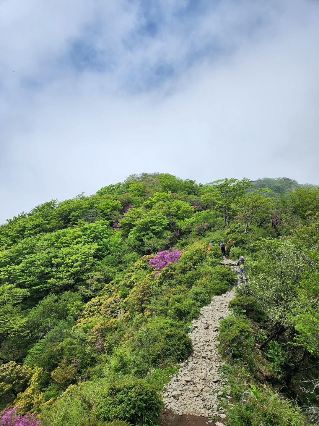 三ノ塔・新大日・塔ノ岳