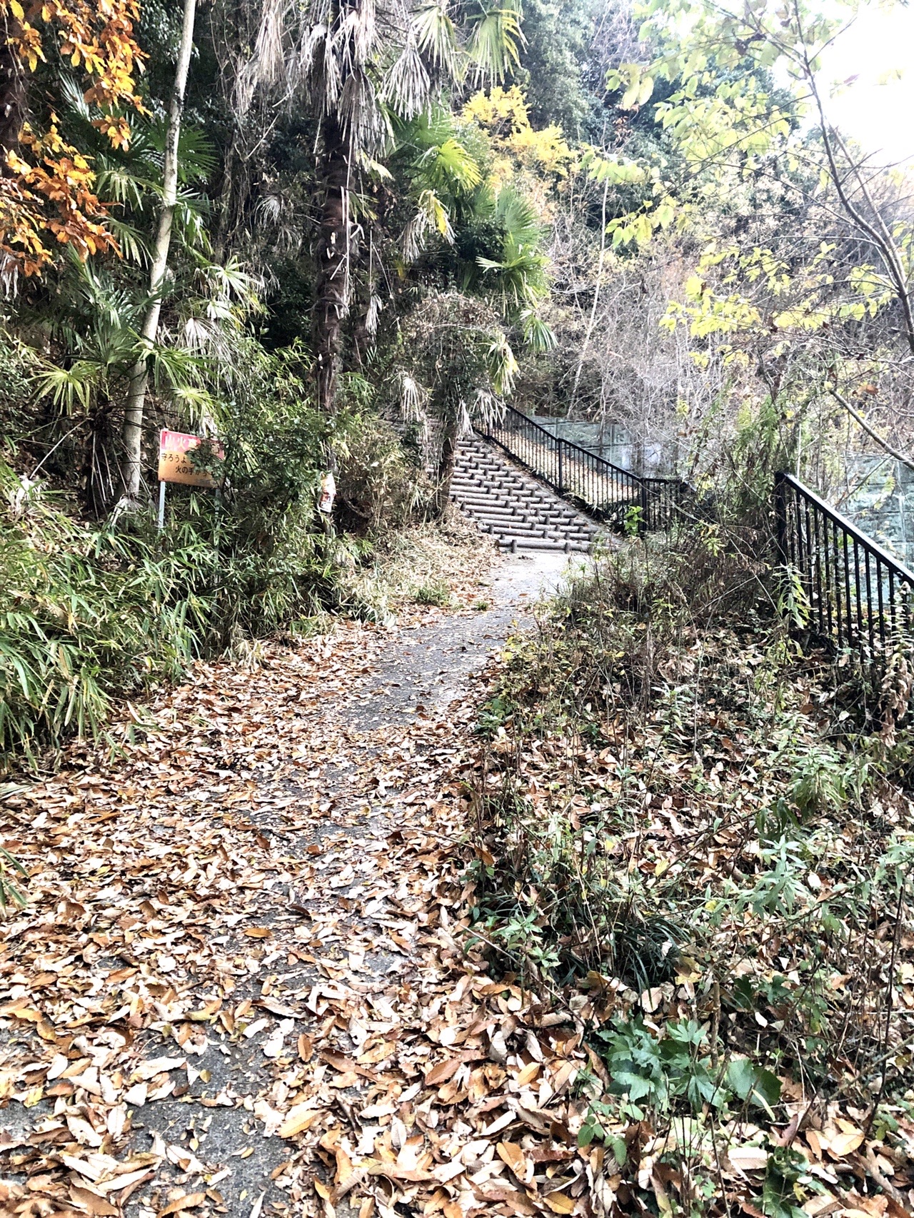 北河内トレイル⑤「ピーク申請🌟竜間山・六道輪廻ヶ岳・南野山・飯盛 