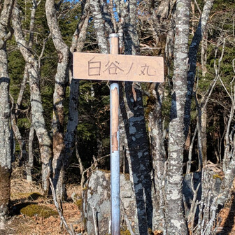 白谷ノ丸の山頂標