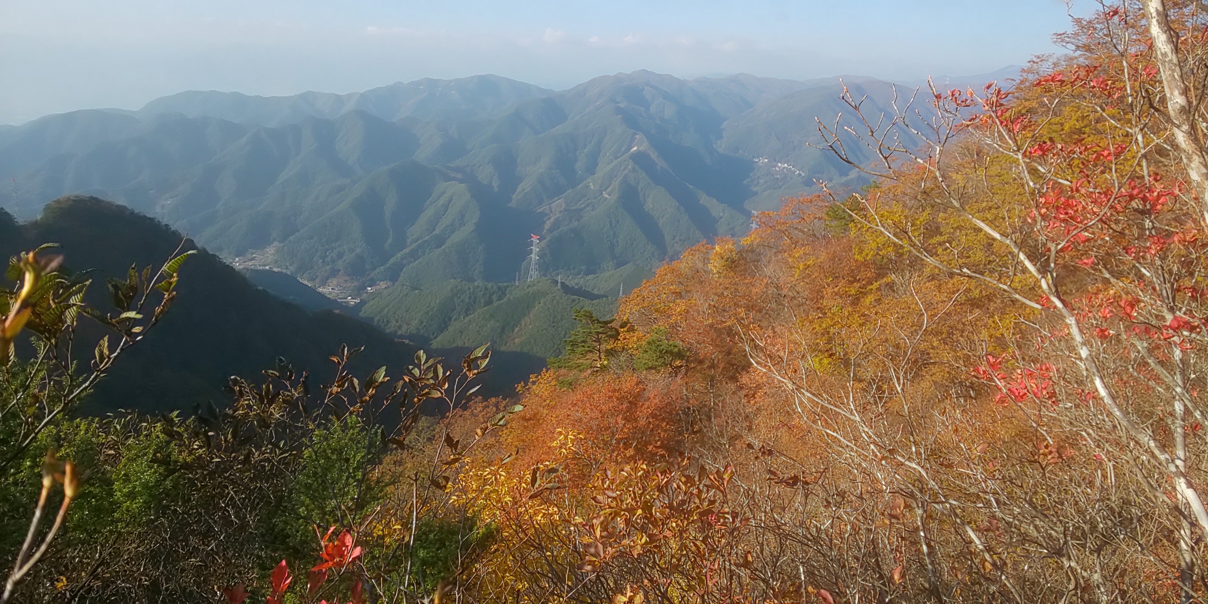 笹子峠 笹子雁ヶ腹摺山 お坊山 大鹿峠 S Myak エリゴンズさんの滝子山 大谷ヶ丸 笹子雁ヶ腹摺山の活動日記 Yamap ヤマップ