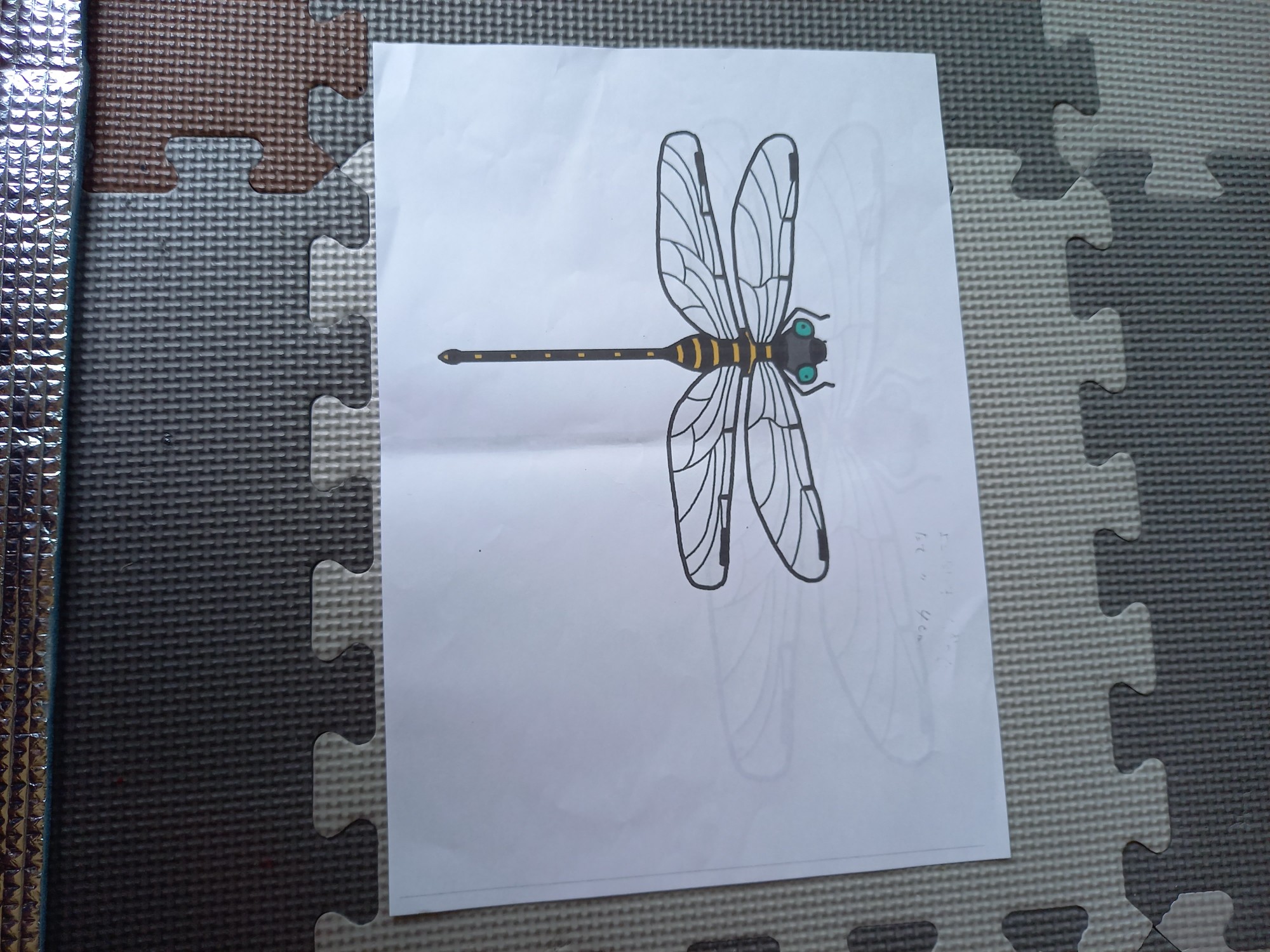 結束バンドでオニヤンマを作る オニヤン ひとつ岩さんのモーメント Yamap ヤマップ