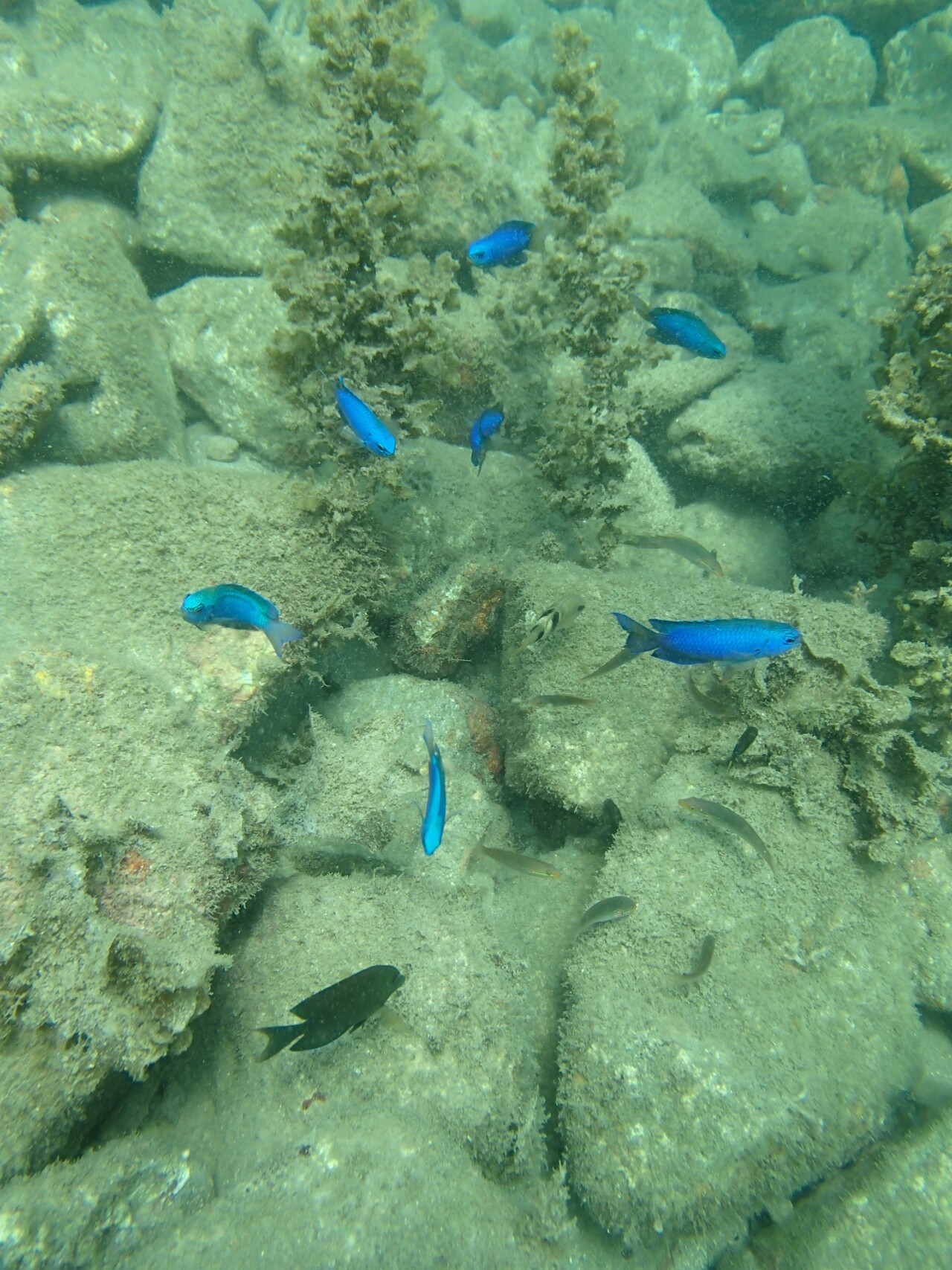 徳島滞在記 宍喰ウミップ編 Masakichi さんの四国遍路その4の活動日記 Yamap ヤマップ