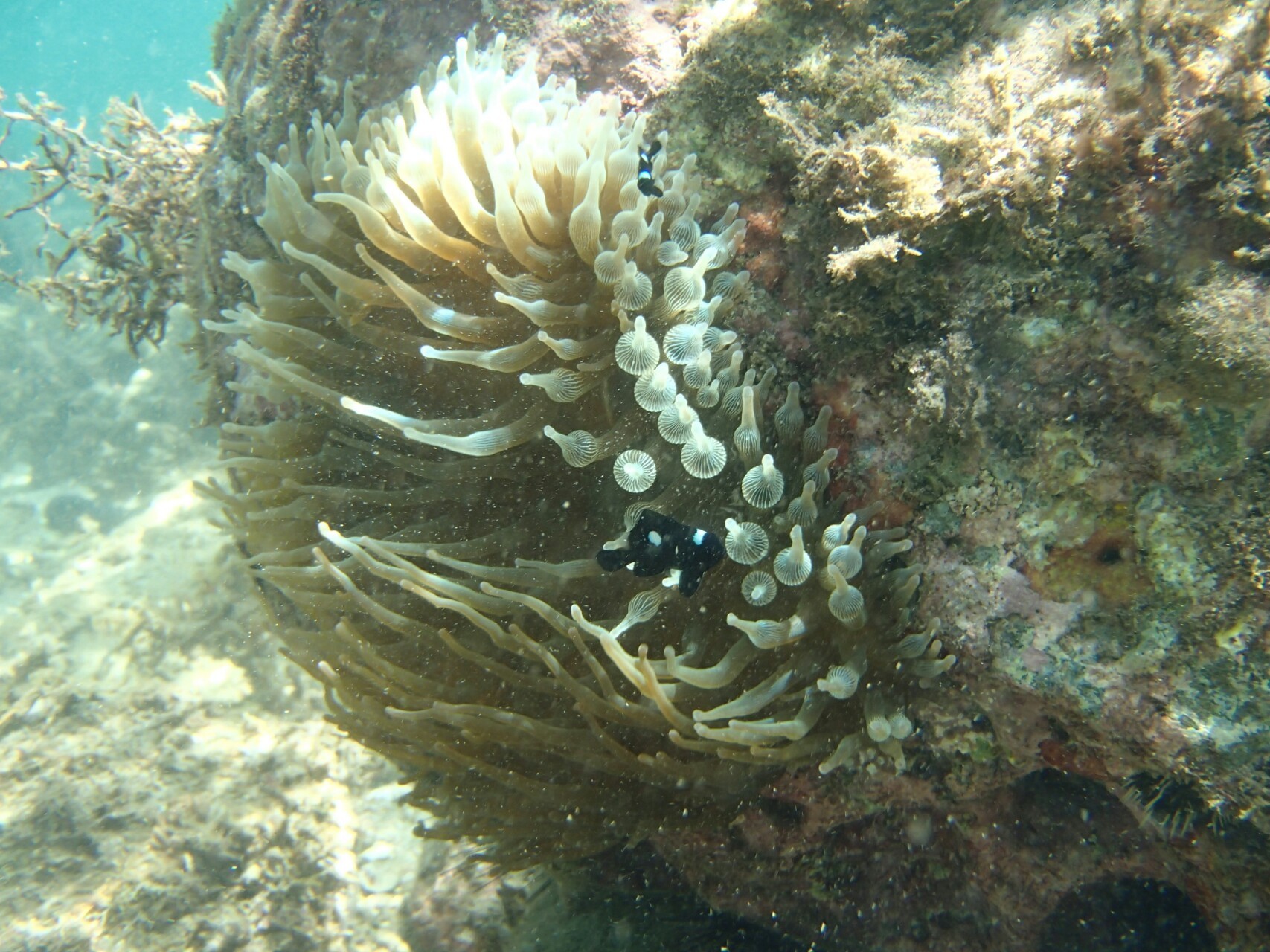 徳島滞在記 宍喰ウミップ編 Masakichi さんの四国遍路その4の活動日記 Yamap ヤマップ