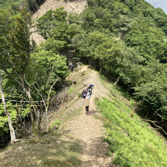後ろの山⛰️方面は三国岳でしたぁ〜「また登る⁉︎」と半信半疑でしたが、この先に分岐点があって、ずずらんちゃんとホッ🤭する