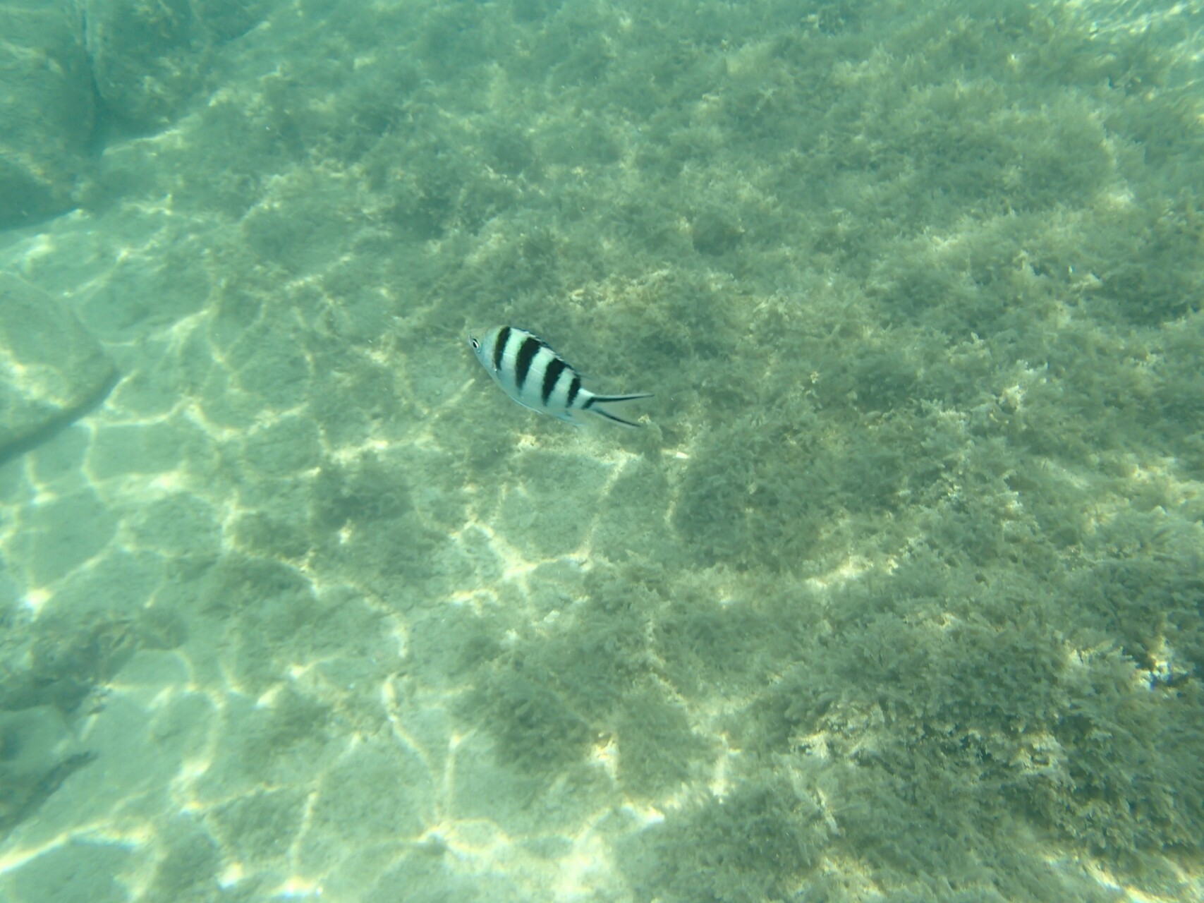 徳島滞在記 宍喰ウミップ編 Masakichi さんの四国遍路その4の活動日記 Yamap ヤマップ