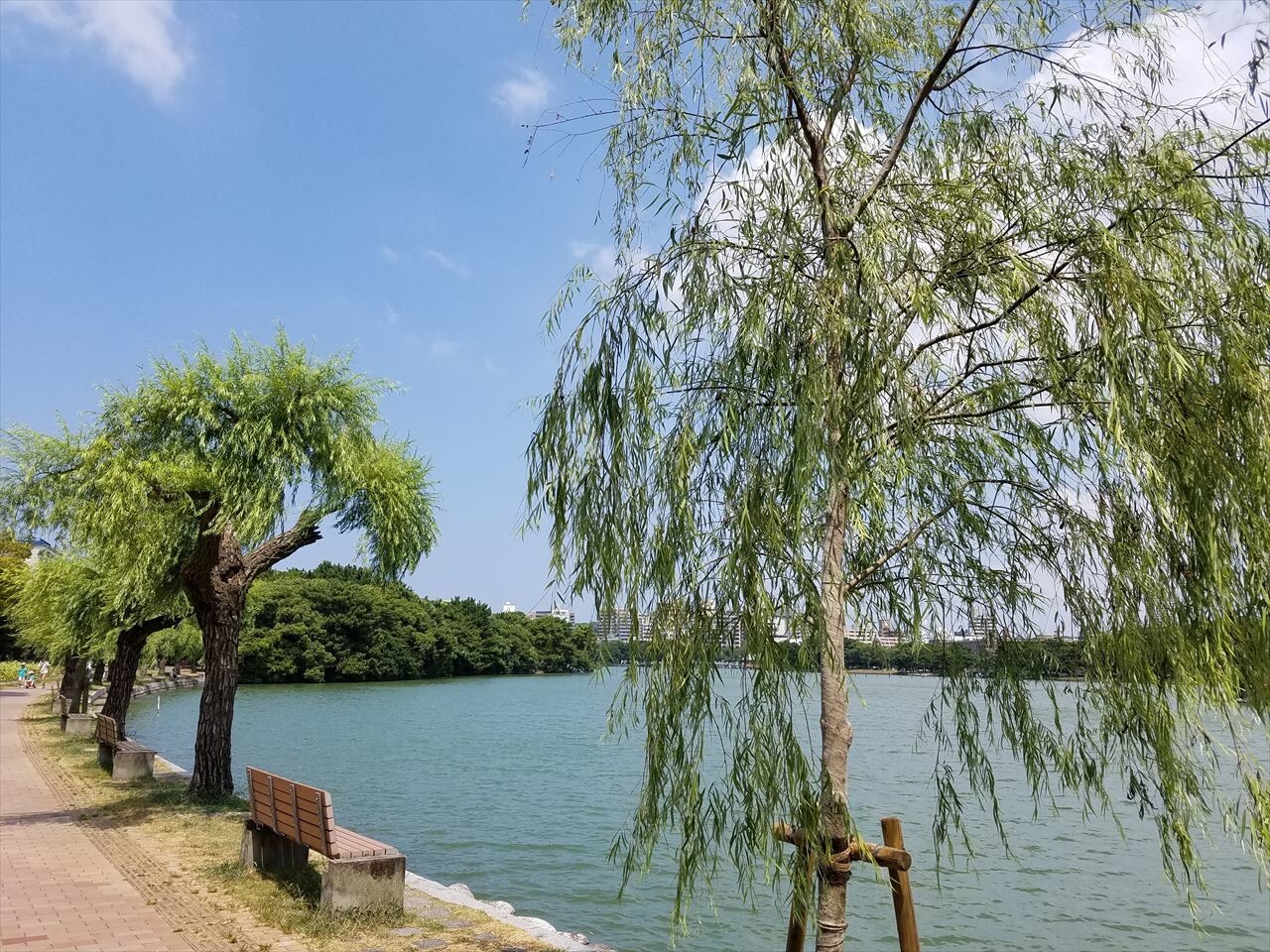 大濠公園の散策 Sato 里山 さんの 公式 福岡市 防災情報含む の活動日記 Yamap ヤマップ