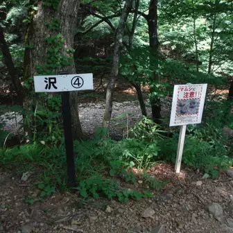 花山 沢歩き 2019 08 04 やすさんの大土ヶ森 御駒山の活動データ yamap ヤマップ