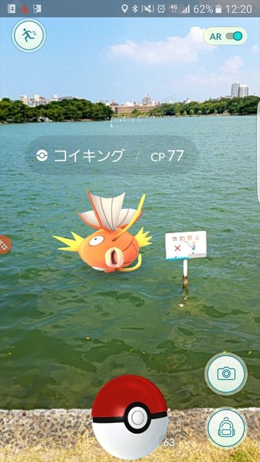 大濠公園の散策 Sato 里山 さんの 公式 福岡市 防災情報含む の活動日記 Yamap ヤマップ