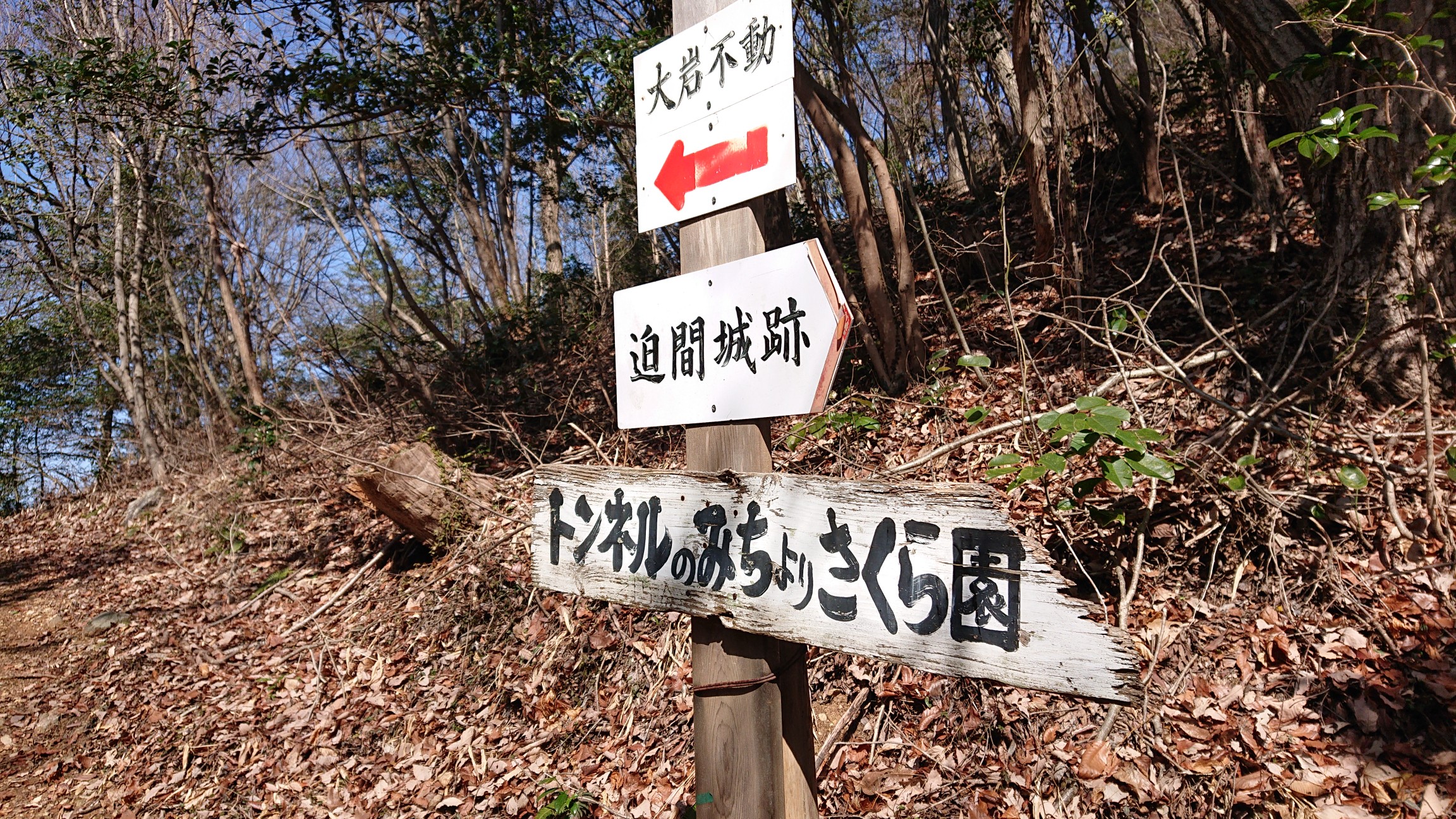 11人で登った各務原アルプス ぽんたさんの各務原アルプス 八木三山の活動日記 Yamap ヤマップ