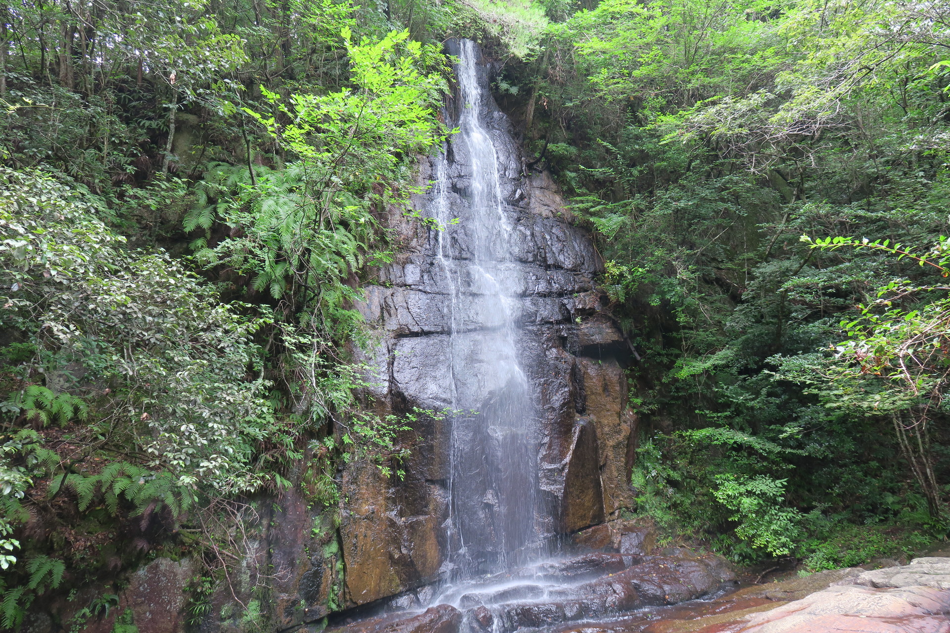 岩屋堂 瀬戸市 あまかつさんの猿投山 物見山の活動日記 Yamap ヤマップ