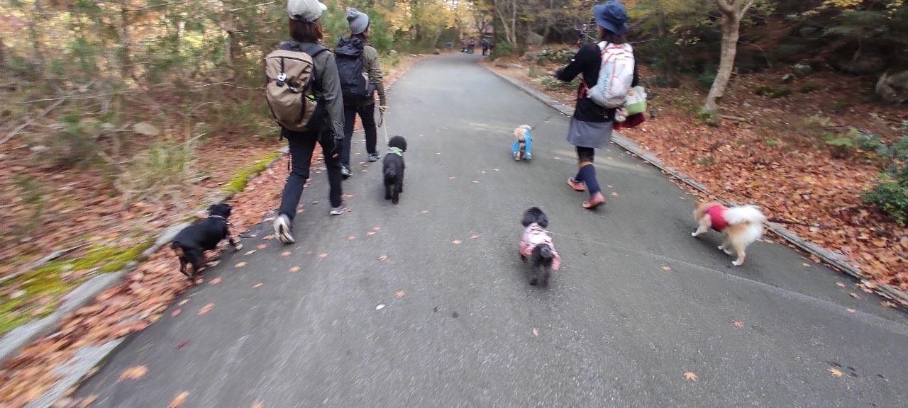 釈迦ヶ岳 賑やかに帰路につきます