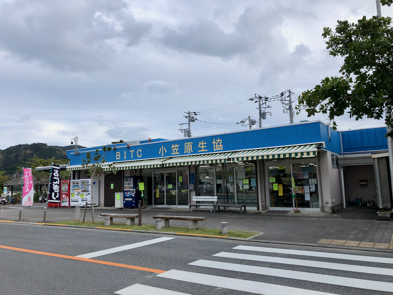 父島 小笠原諸島 3 4日目 21 01 04 05 モグちゃんさんの父島 小笠原諸島 の活動日記 Yamap ヤマップ