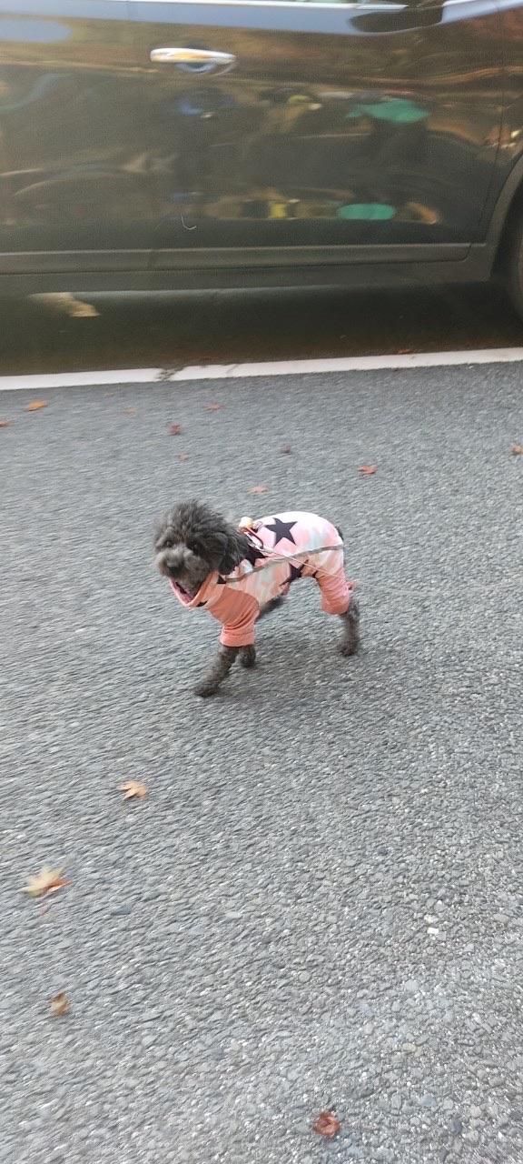 釈迦ヶ岳 キキちゃん、お洋服もかわいい❤️