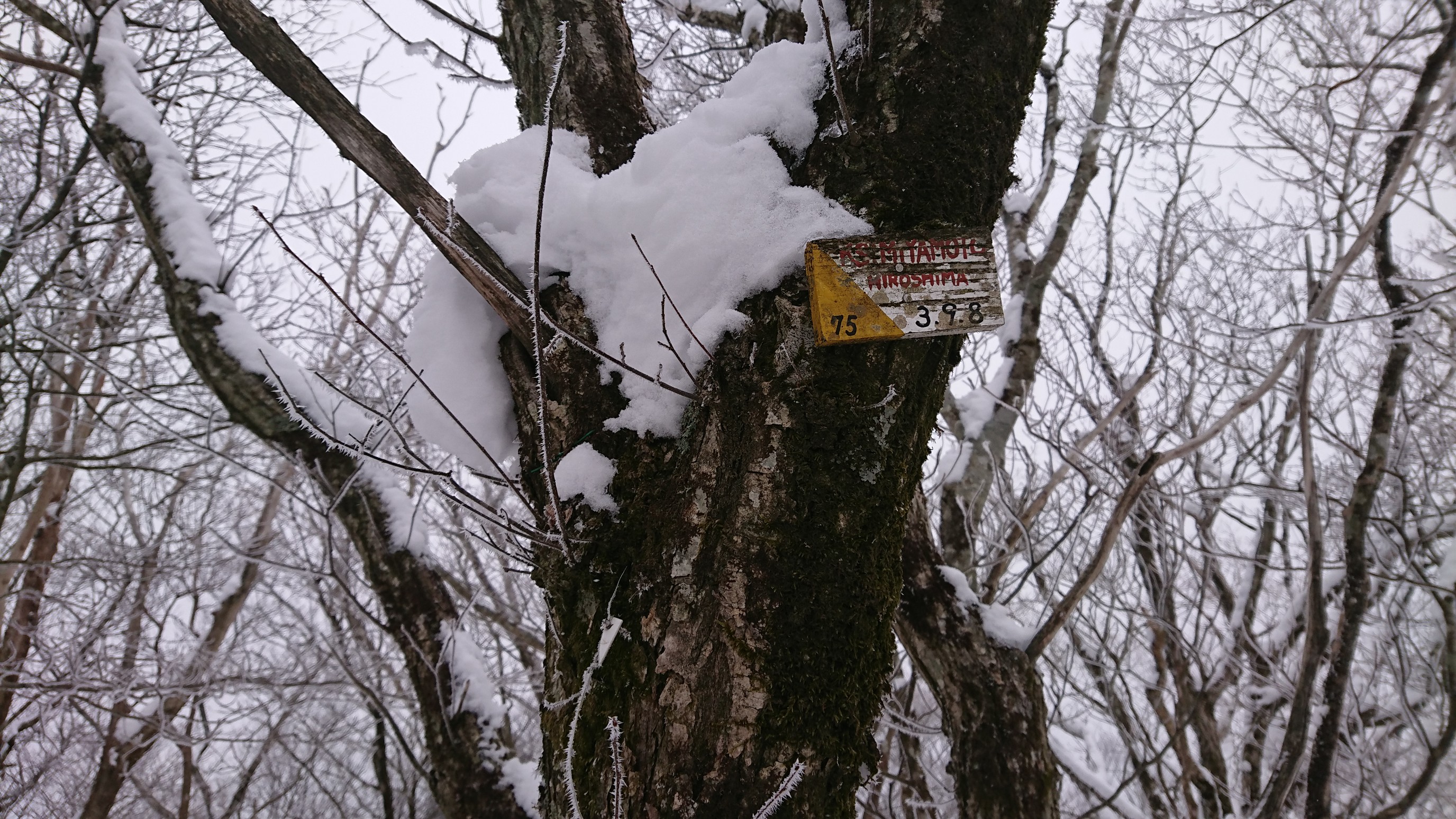 荒田山の最新登山情報 / 人気の登山ルート、写真、天気など | YAMAP