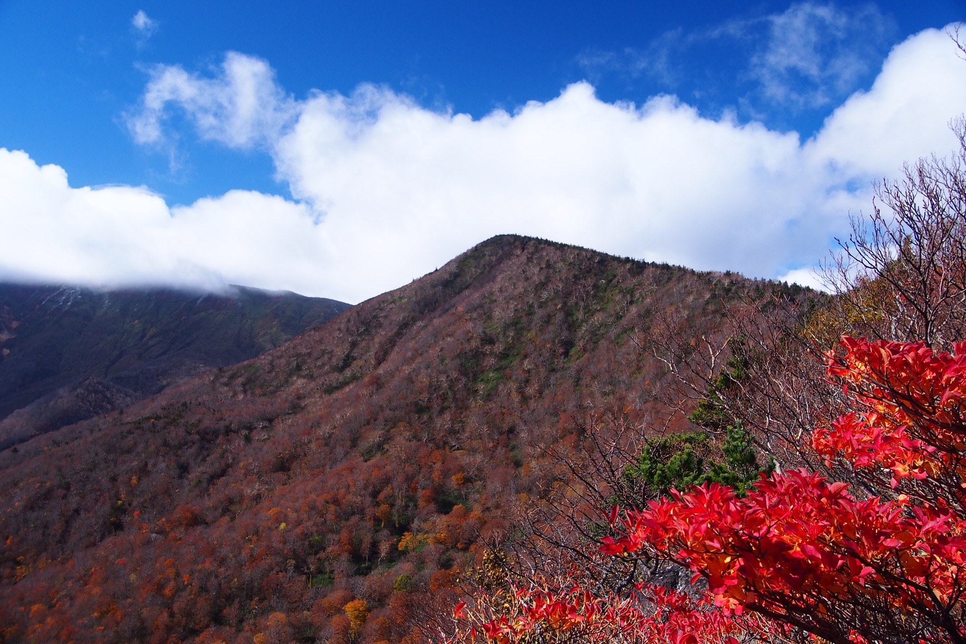 紅葉の宮城蔵王 えぼしスキー場 と後烏帽子岳 的射さんの蔵王山 雁戸山 不忘山の活動データ Yamap ヤマップ