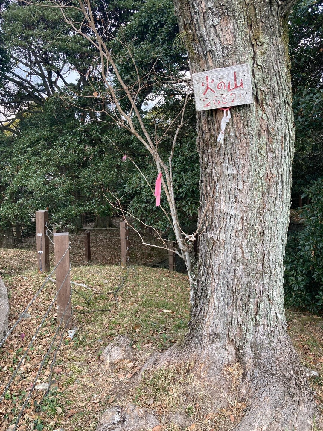 火の山 / あっちゃんさんの火の山・火の山公園・霊鷲山の活動データ YAMAP / ヤマップ
