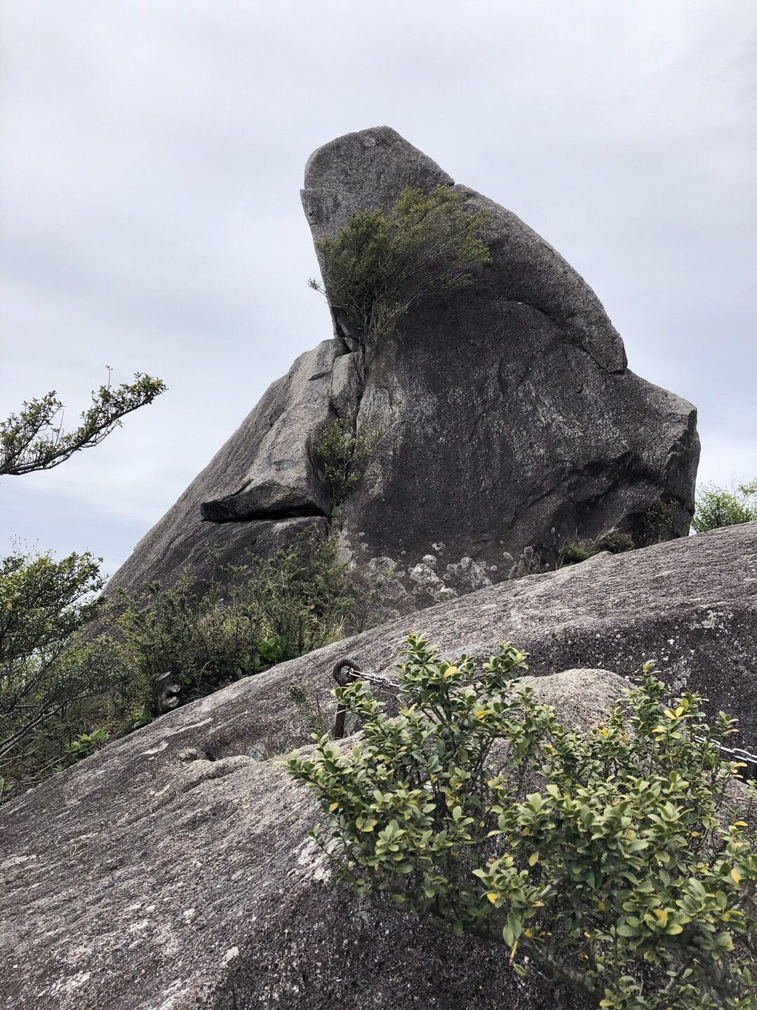烏帽子山 910m 和歌山 / テルマサさんの烏帽子山（那智山）の活動データ YAMAP / ヤマップ