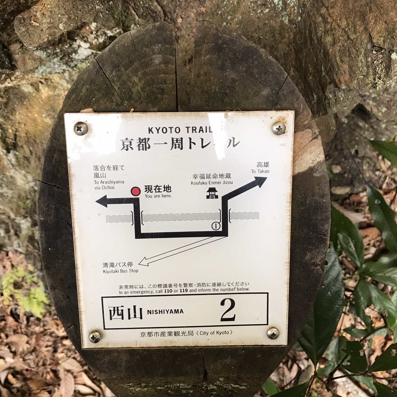 西山コース ー京都一周トレイルー デッドマンズqさんの京都一周トレイルの活動日記 Yamap ヤマップ